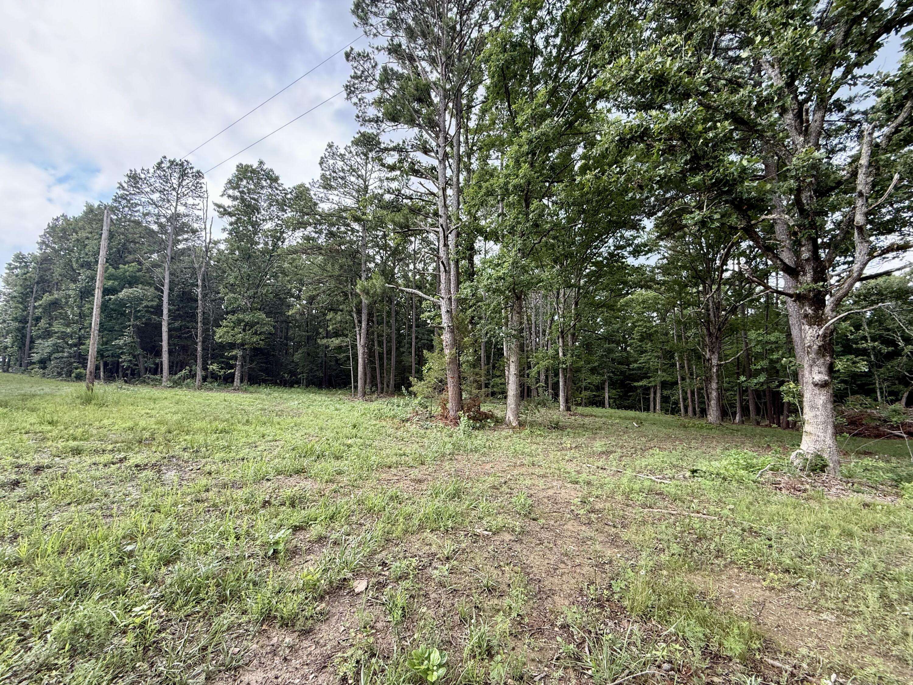 000 W Highway 32, Licking, MO 65542