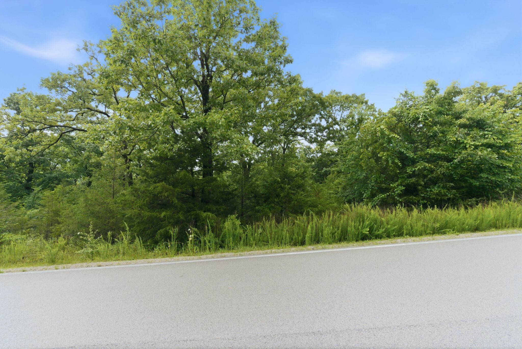 Lot 139 Beechwood Drive, Branson West, MO 65737
