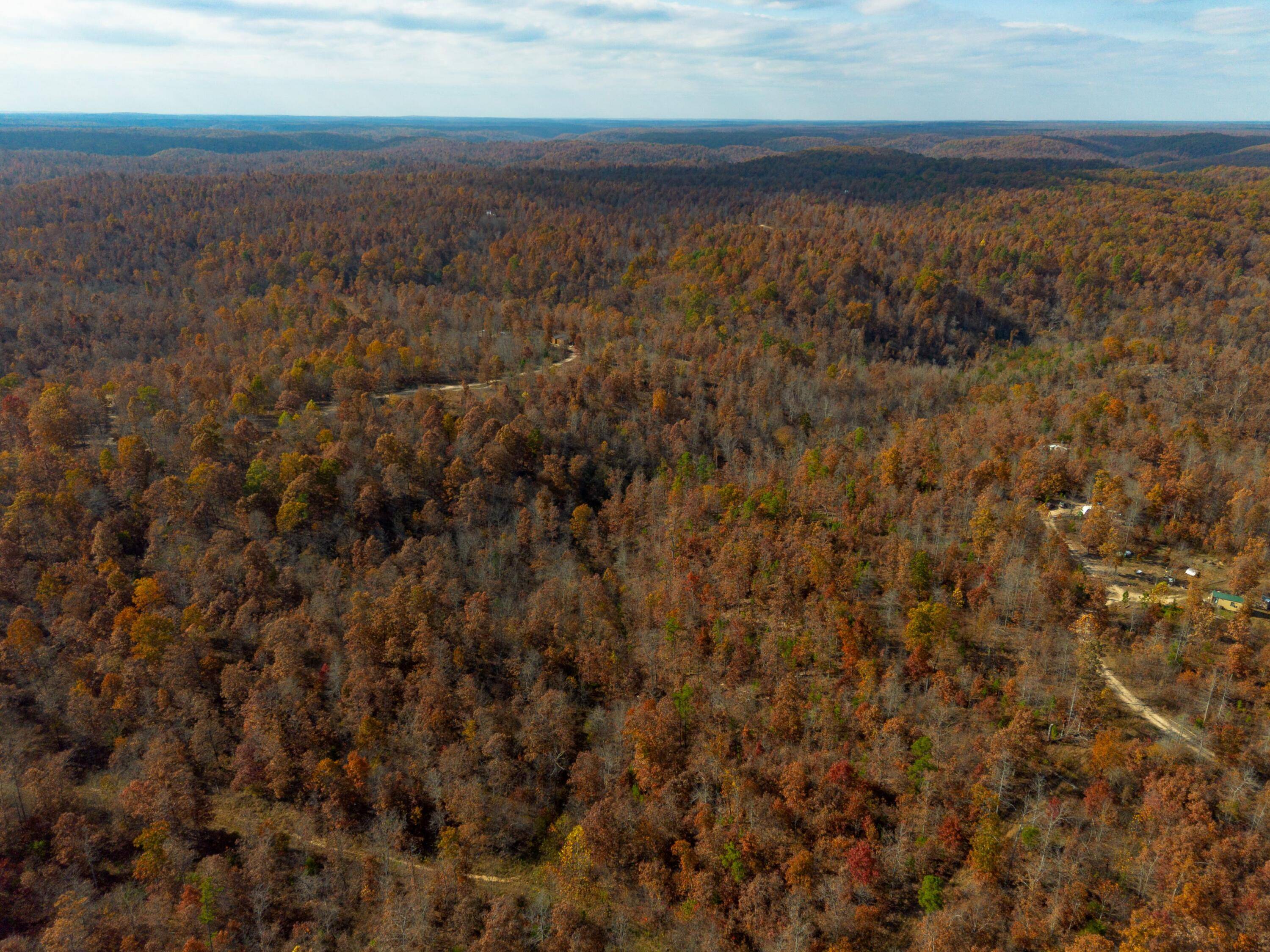 15682 Winding TRL, Birch Tree, MO 65438