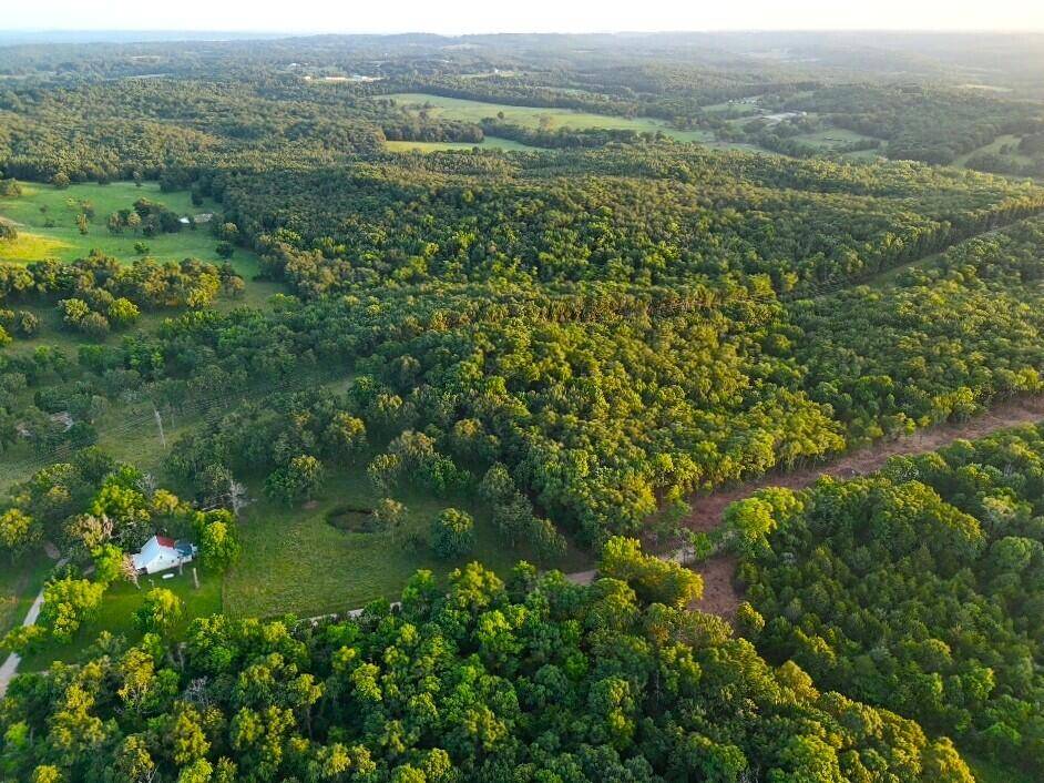 006 Cantrell RD, Mansfield, MO 65704
