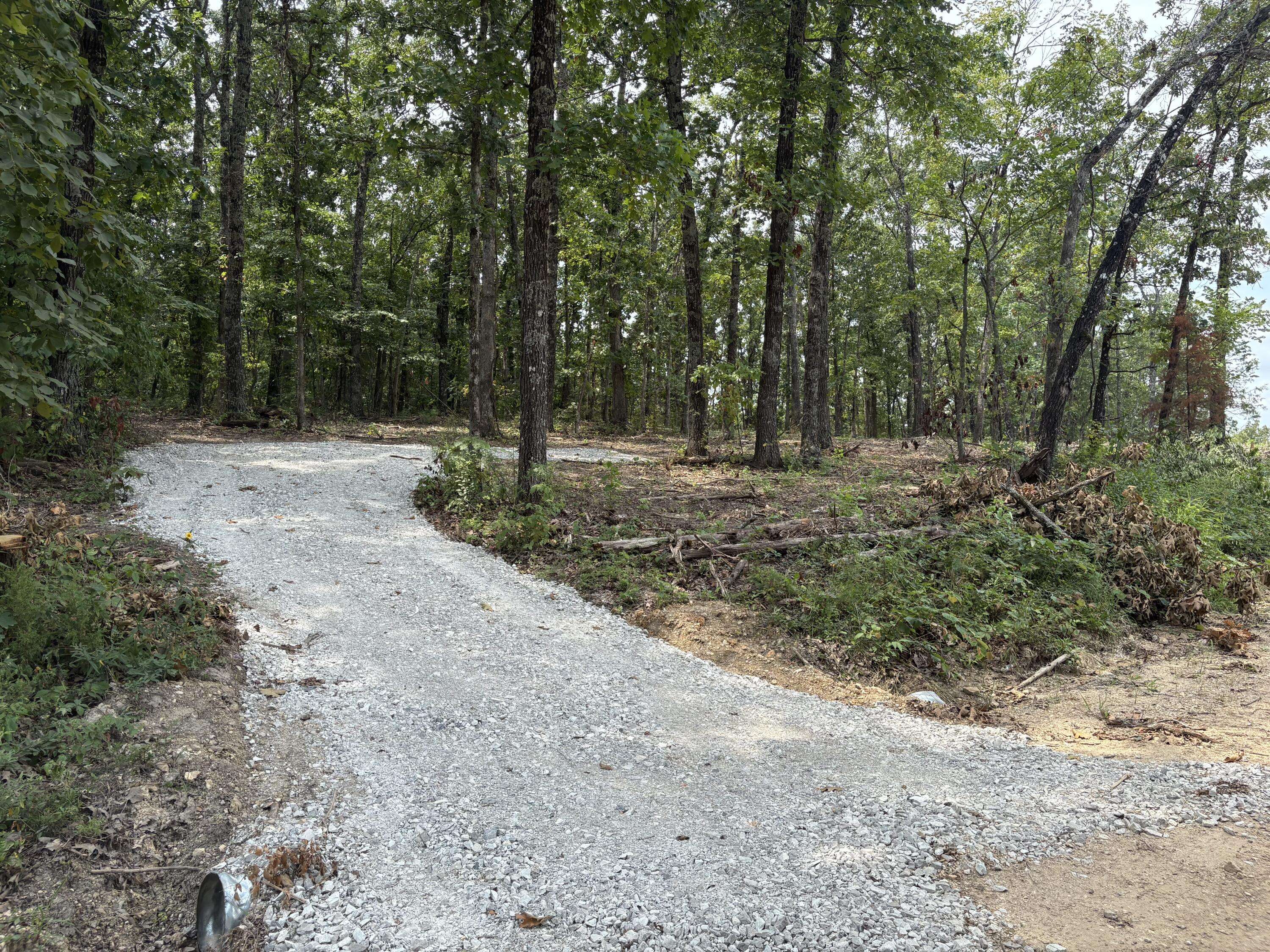 006 Cantrell RD, Mansfield, MO 65704