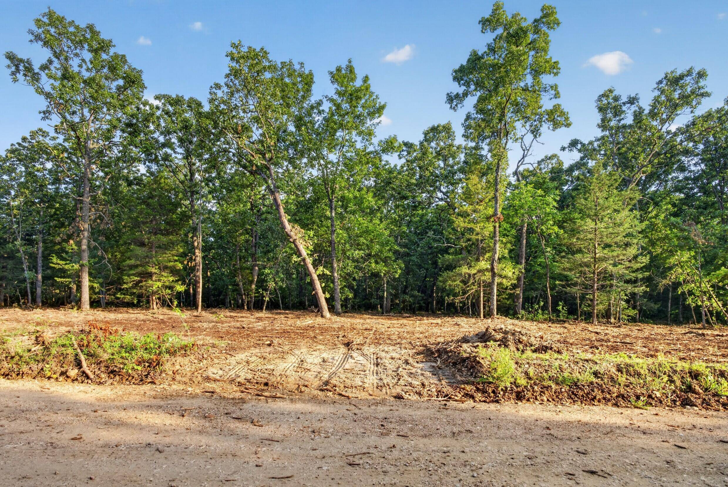 004 Cantrell RD, Mansfield, MO 65704