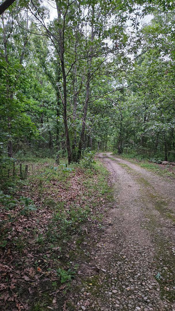 630 Cross Creek RD, Marshfield, MO 65706