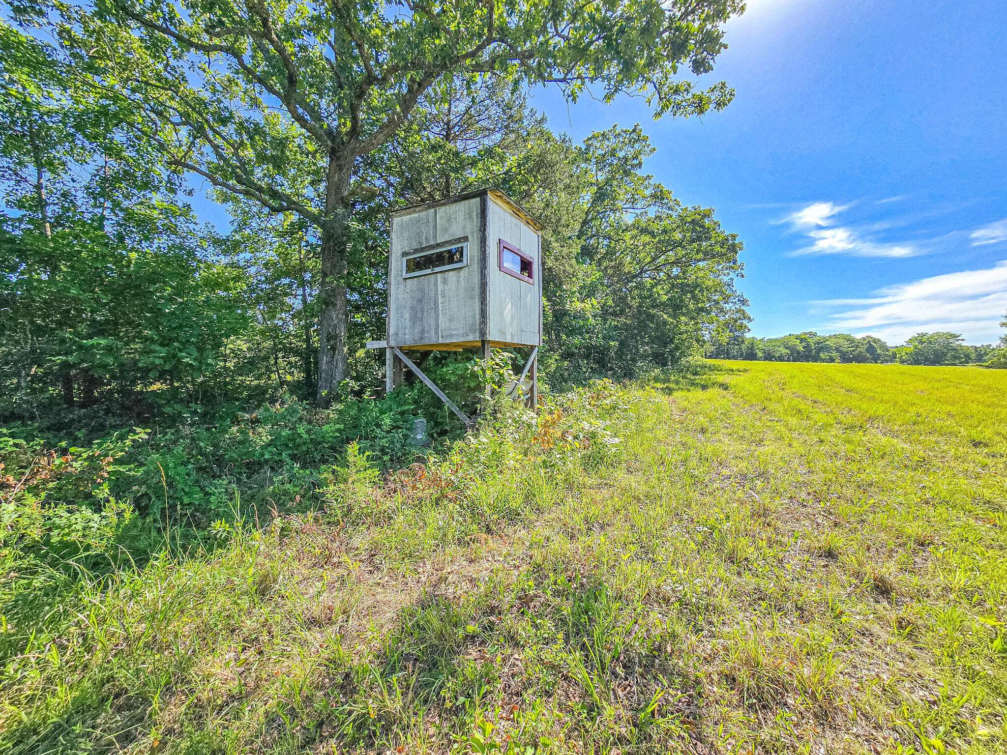 000 County Road 8c, Cross Timbers, MO 65634