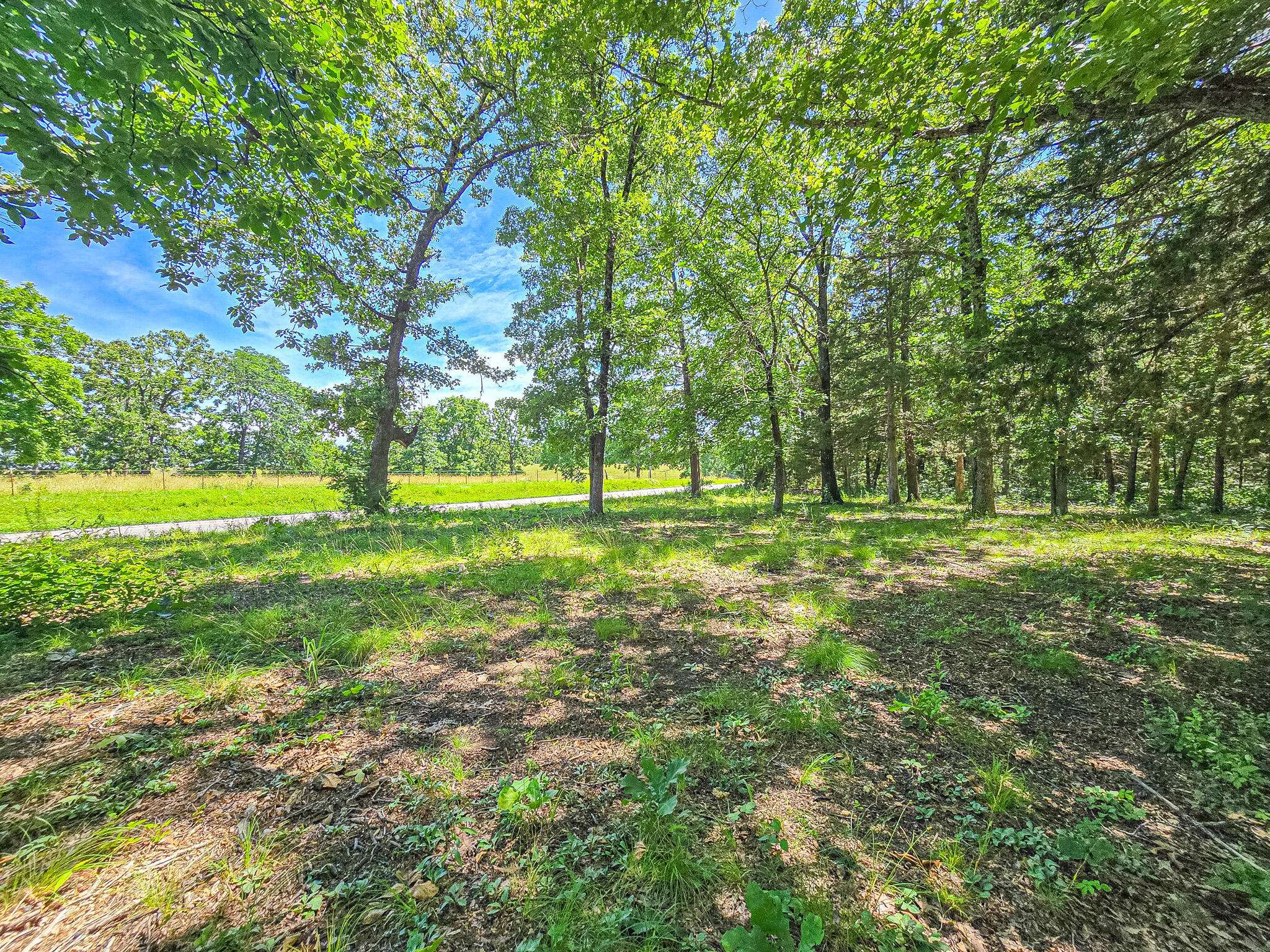 21436 State Highway D, Hermitage, MO 65668