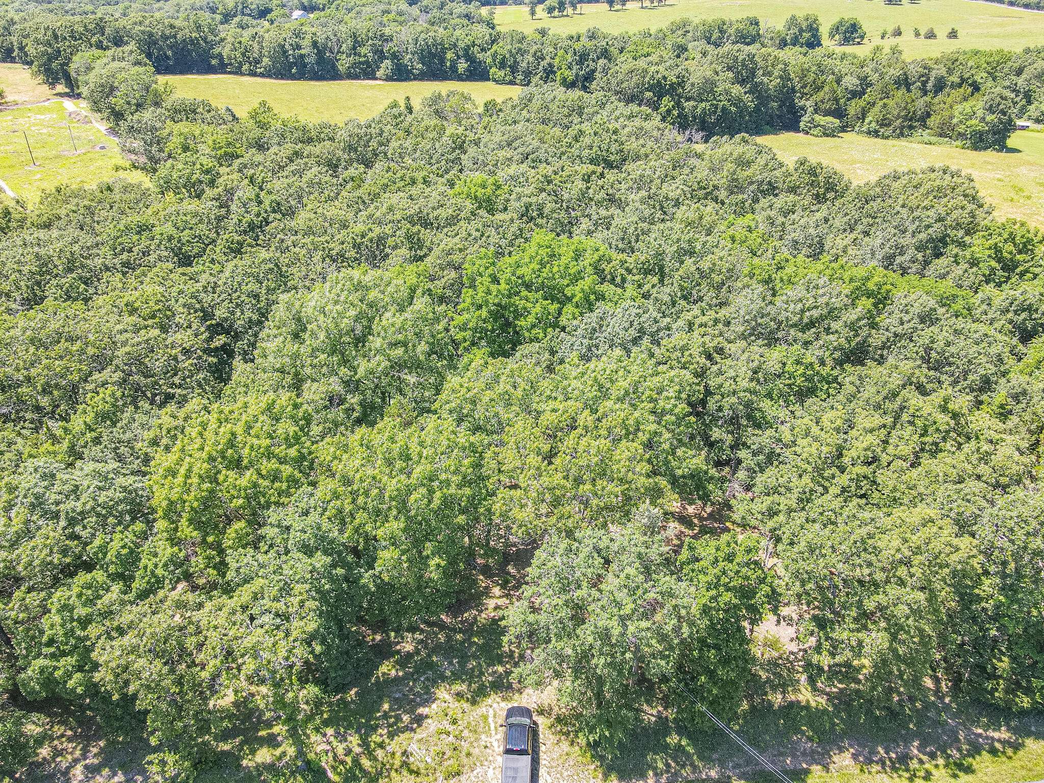 21436 State Highway D, Hermitage, MO 65668