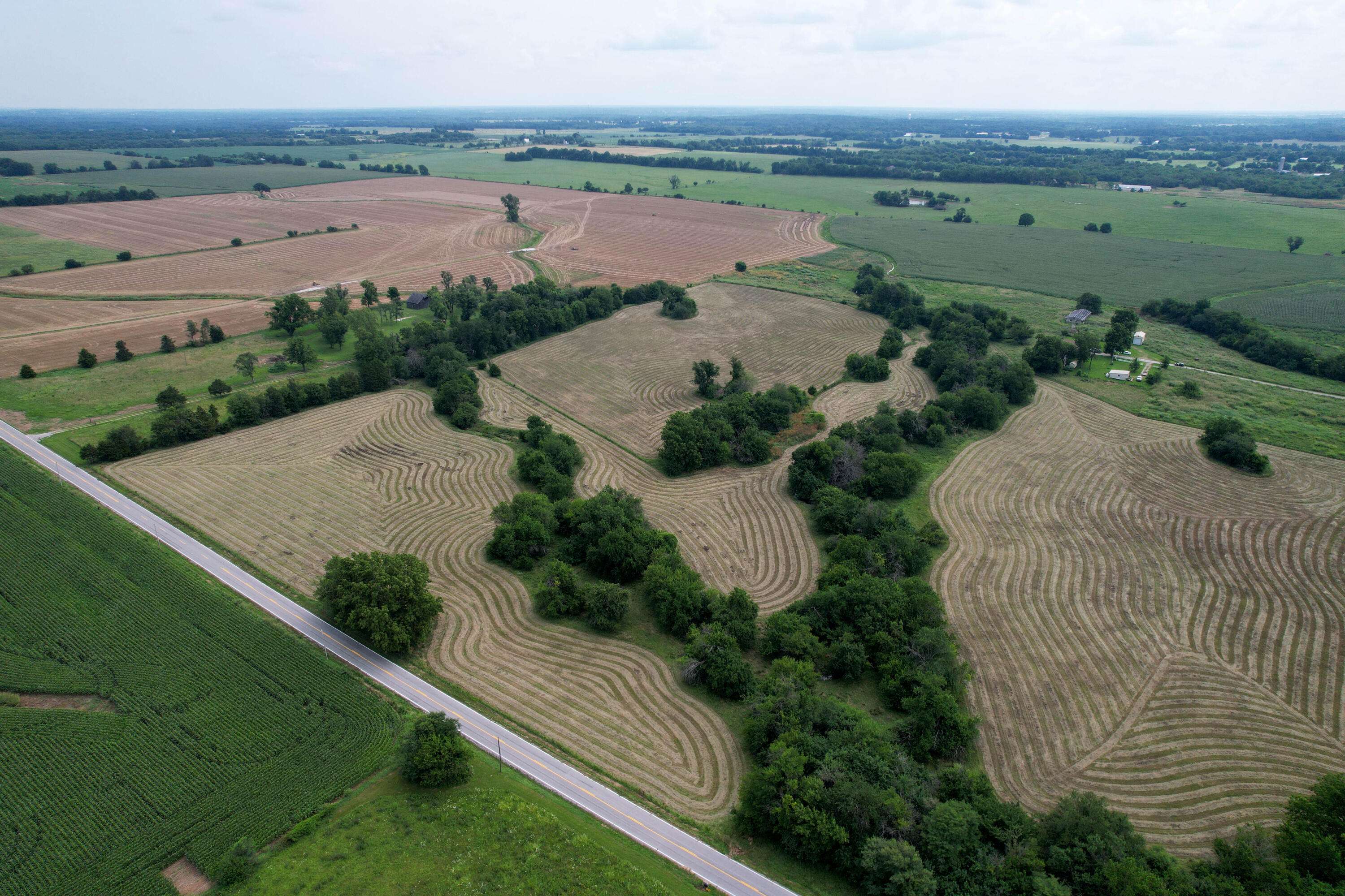 000 W Farm Rd 116, Bois D Arc, MO 65612