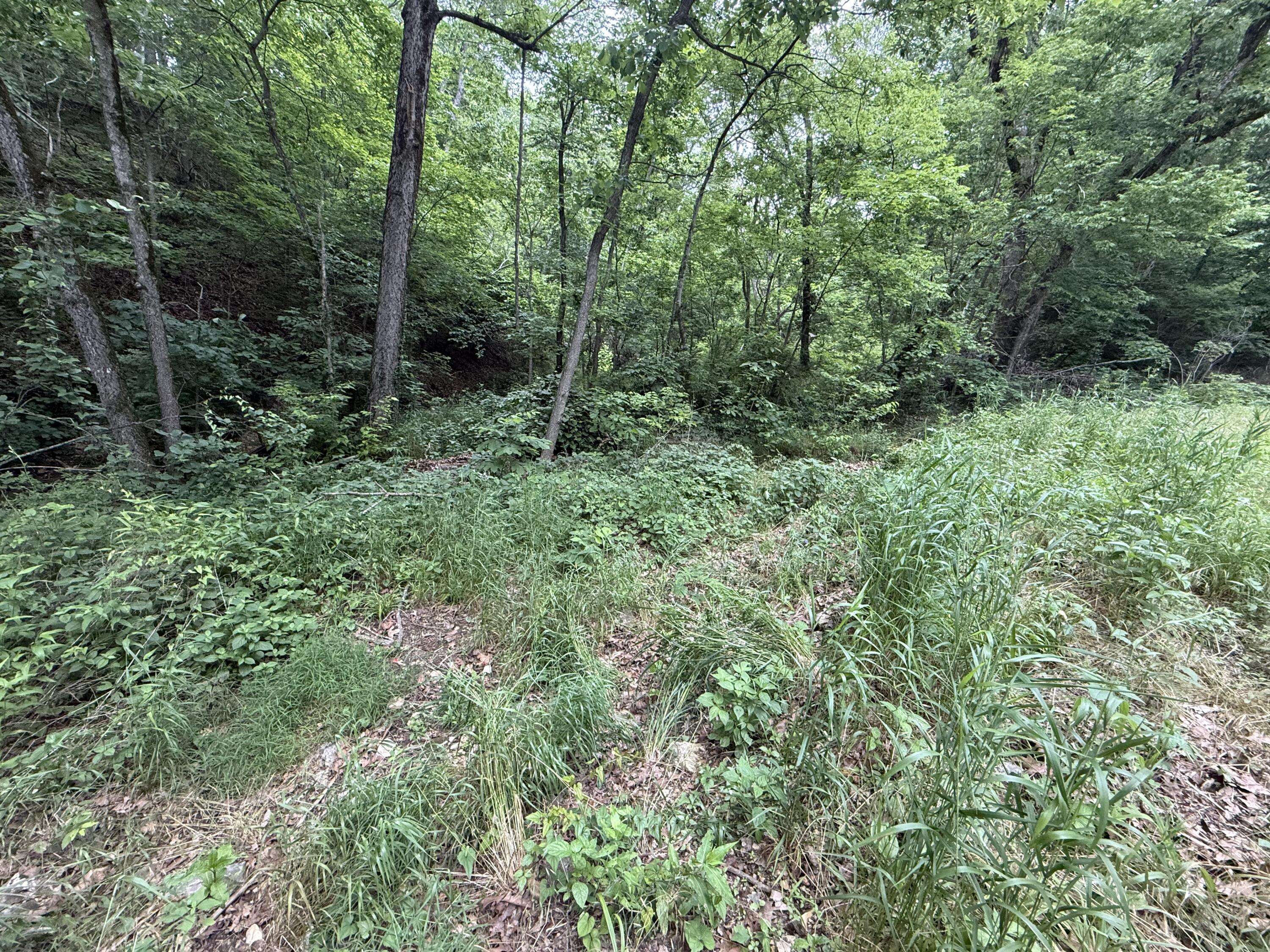 Tbd State Highway Dd, Seligman, MO 65745