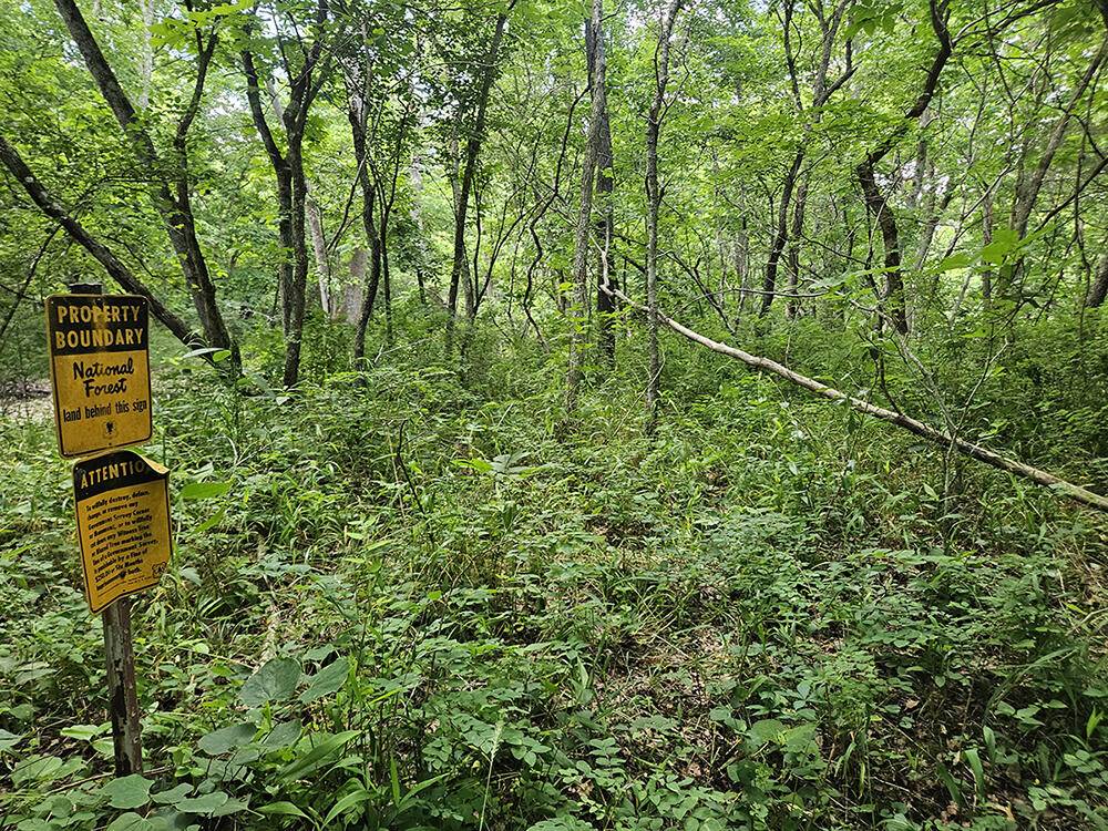 00 Forest Road 7989, Plato, MO 65552