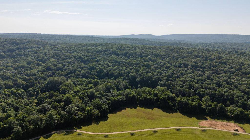000 County Road Dd 447, Chadwick, MO 65629