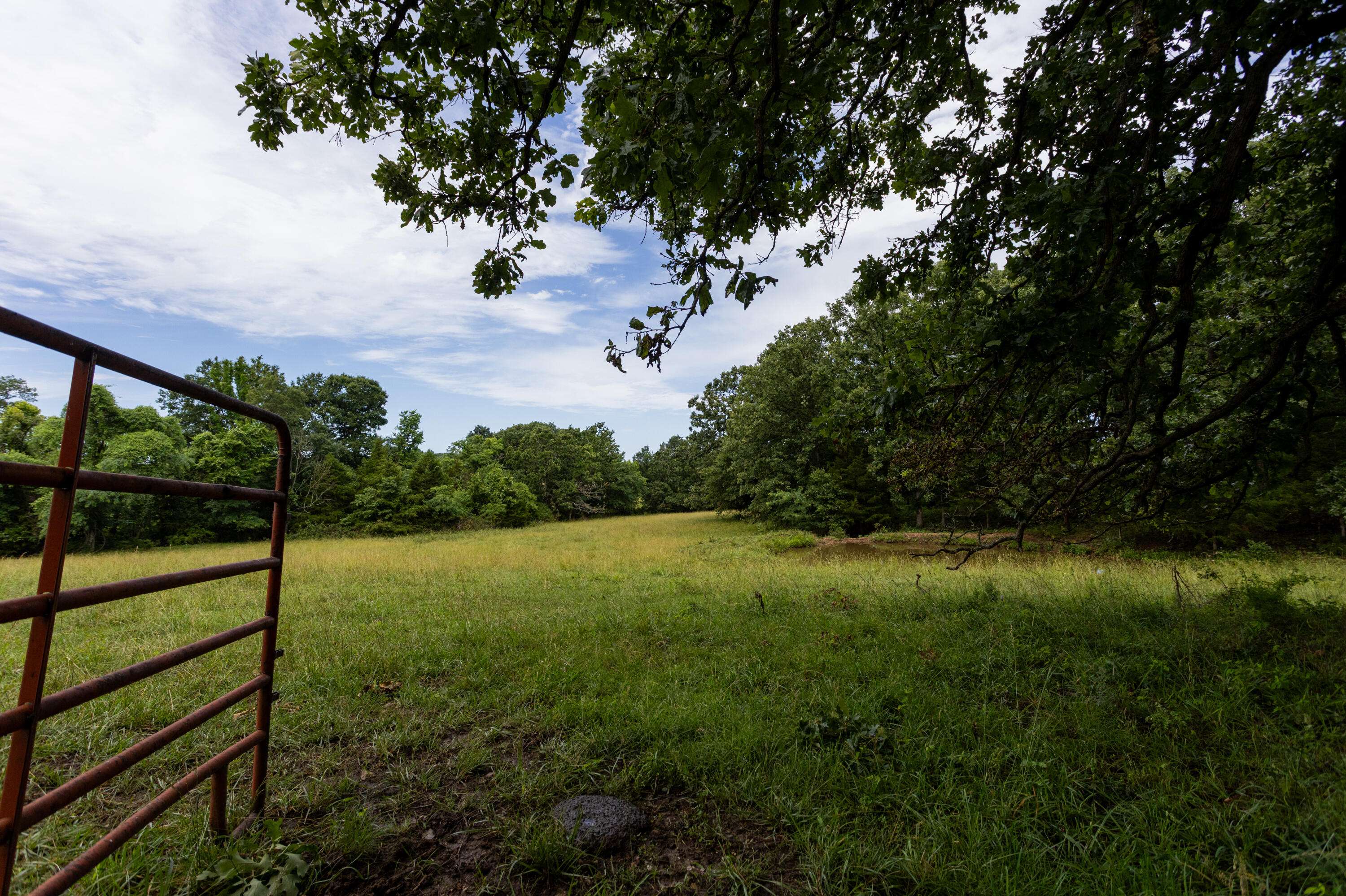 00 S 220th RD, Halfway, MO 65663