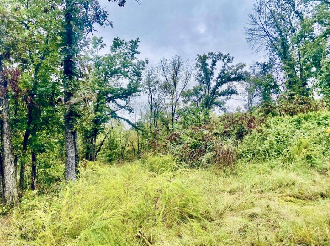 294 E Dade 68, Greenfield, MO 65661