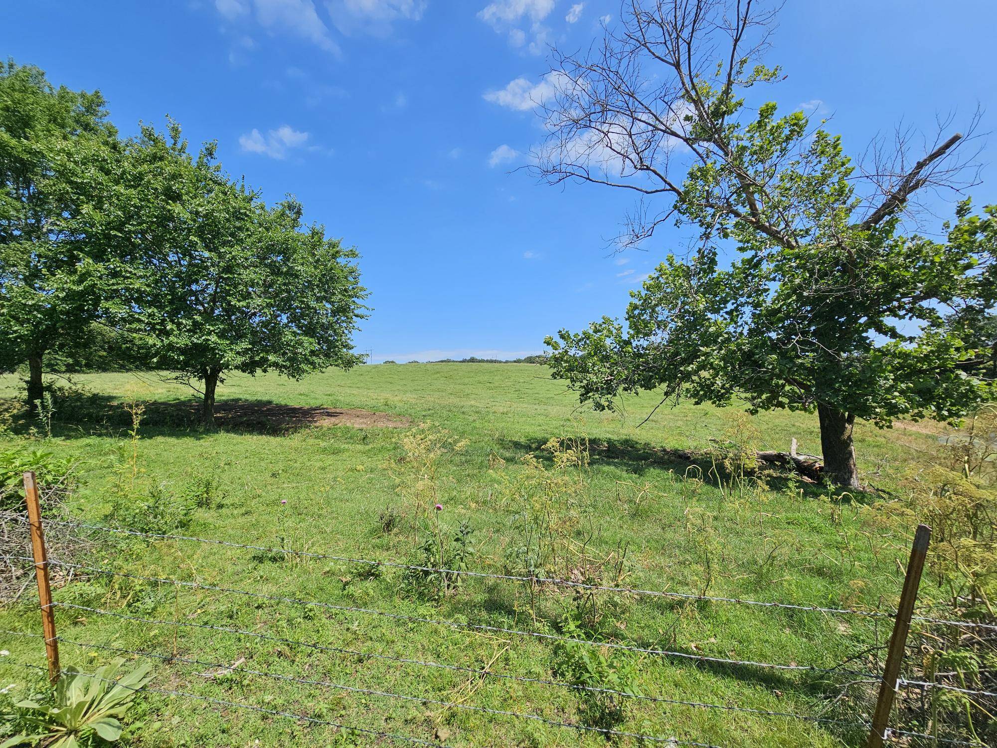 25 Acres State Highway F, Anderson, MO 64831