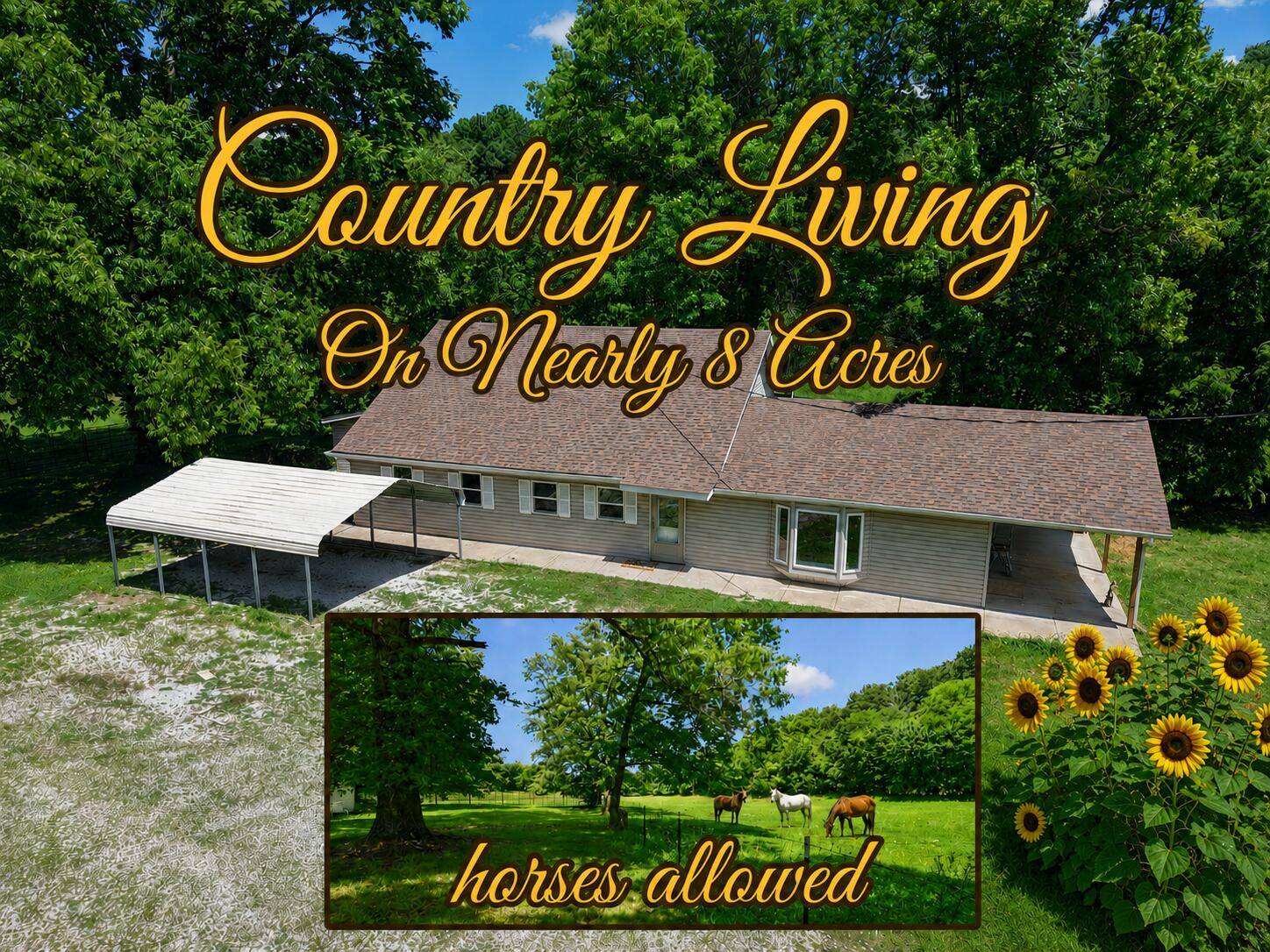 533 Ghan RD, Clever, MO 65631