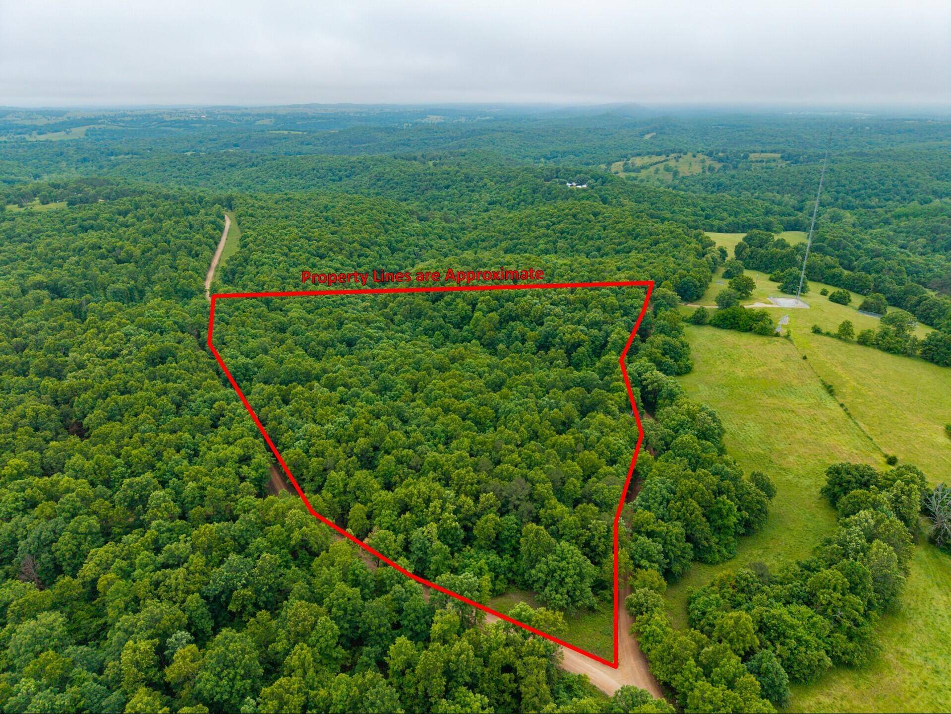 000 Co Rd 519 #Tract 3, Hardenville, MO 65666
