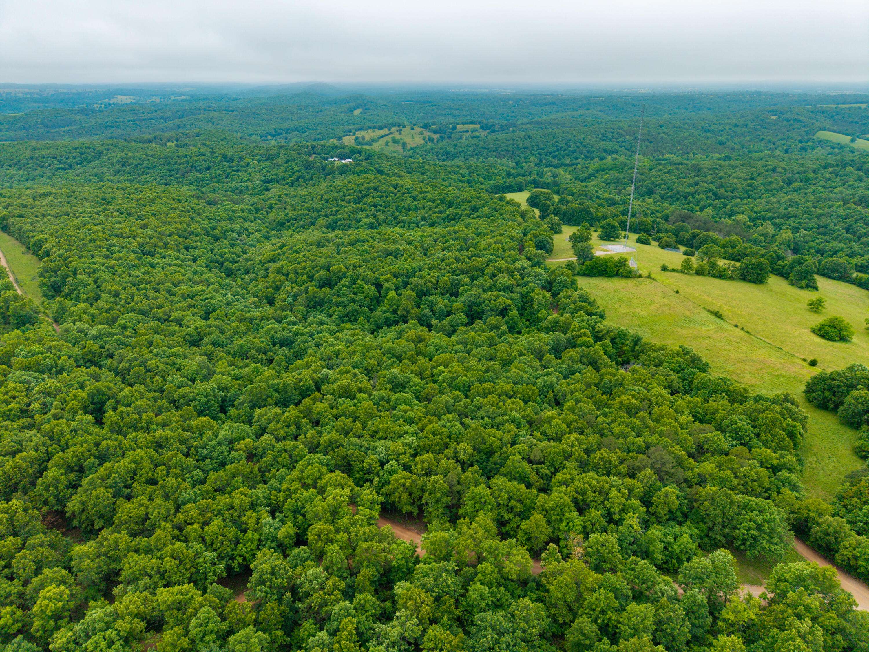 000 Co Rd 519 #Tract 3, Hardenville, MO 65666