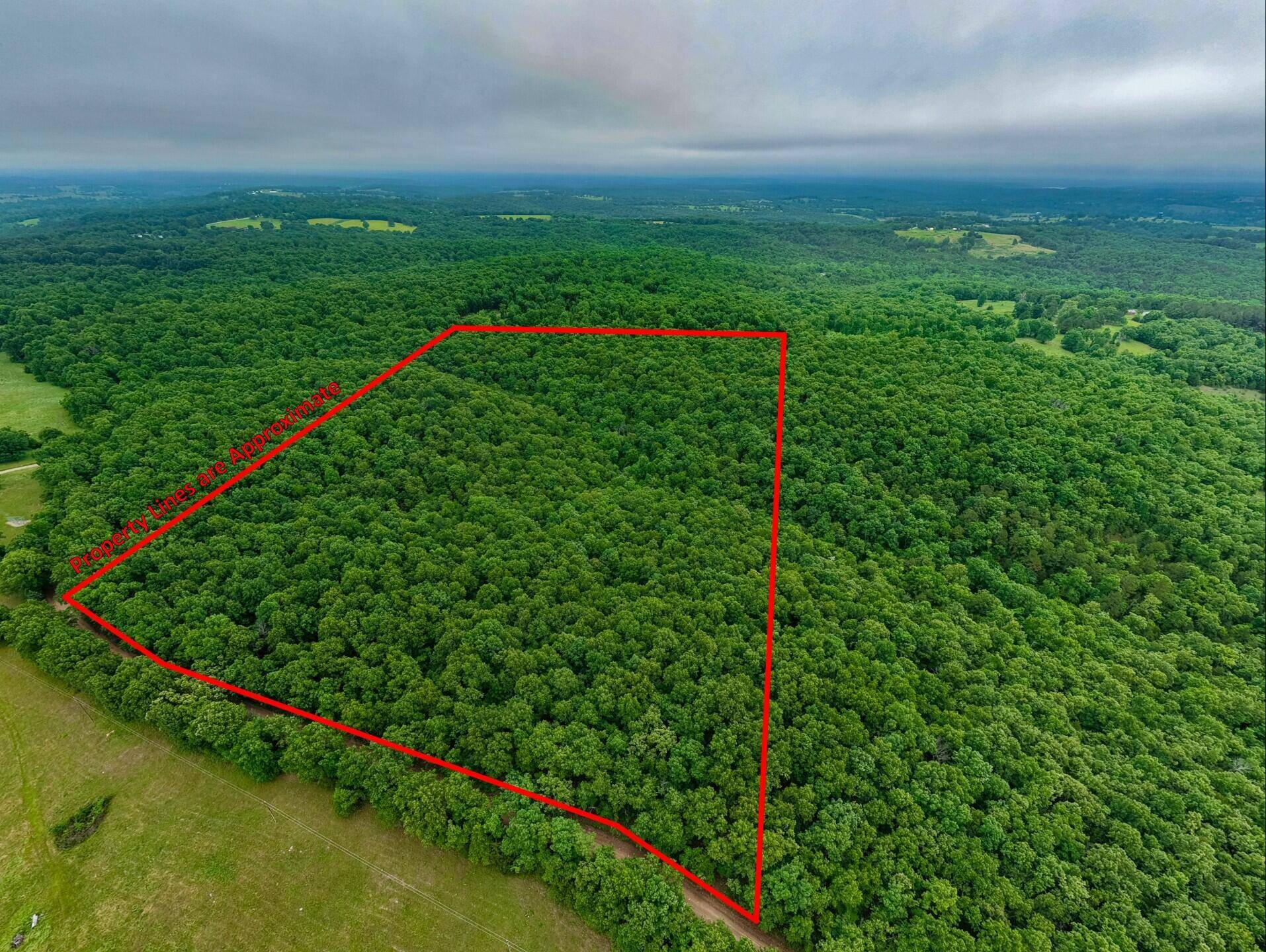 000 Co Rd 519 #Tract 2, Hardenville, MO 65666