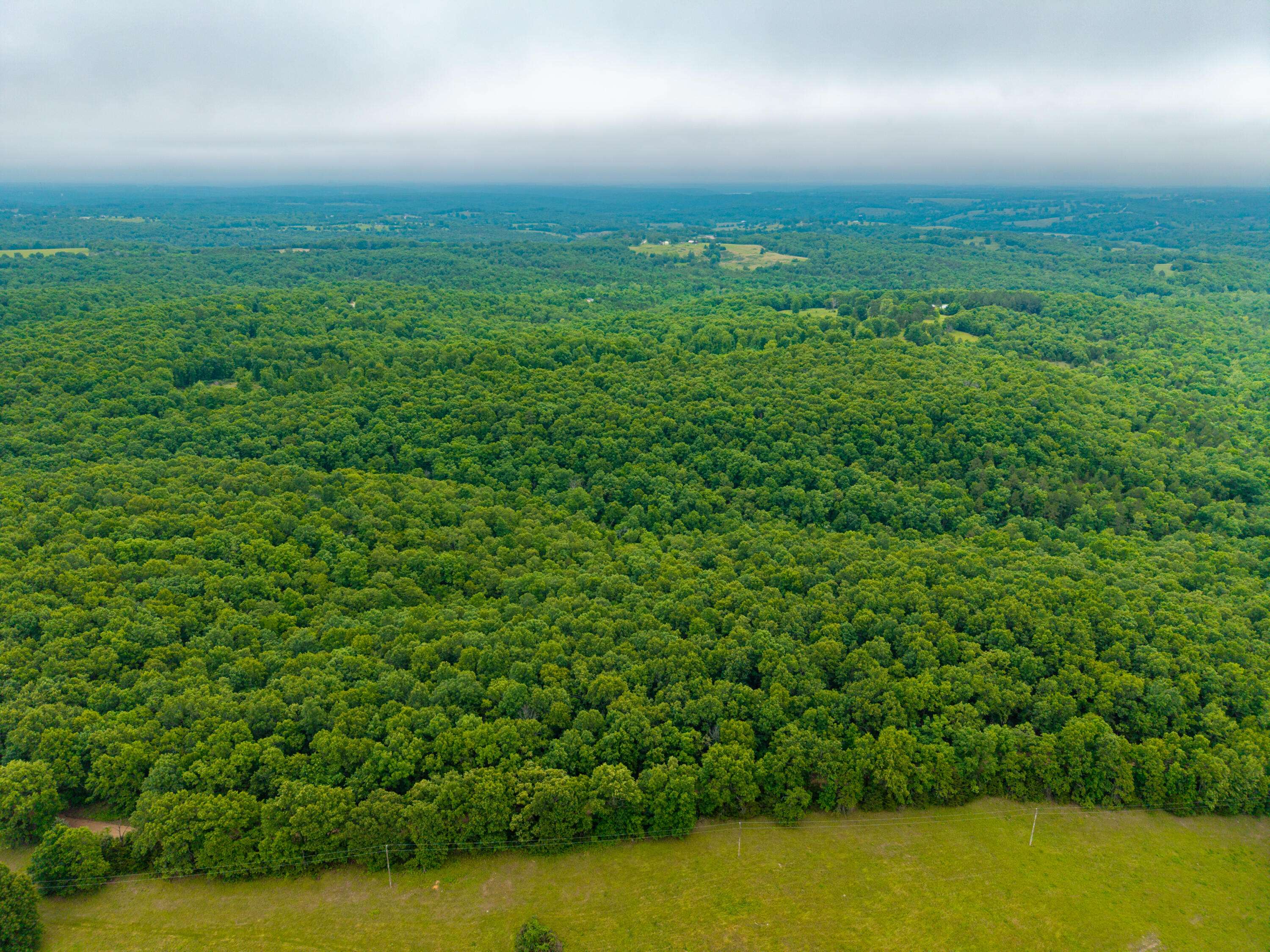 000 Co Rd 519 #Tract 2, Hardenville, MO 65666