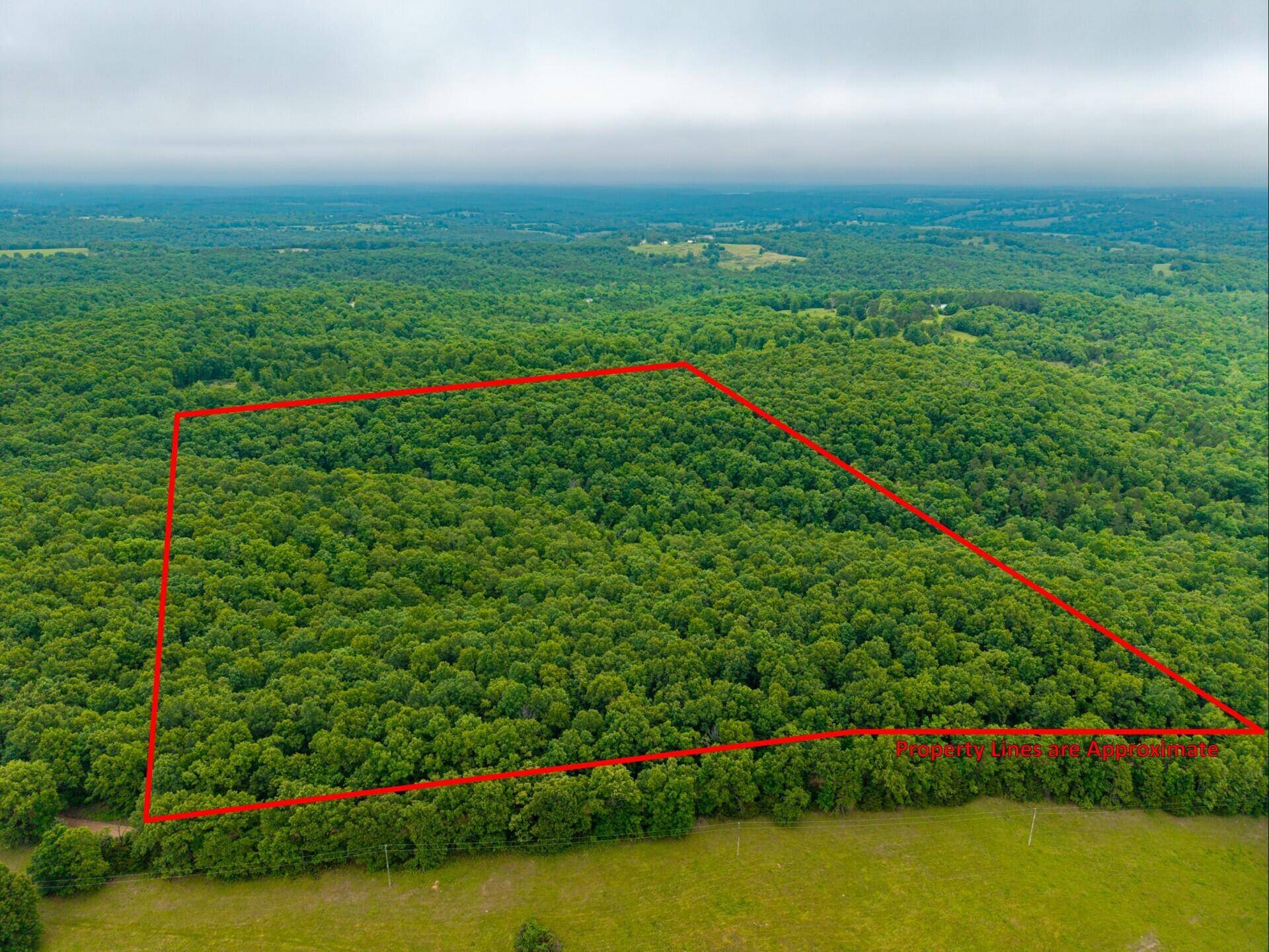 000 Co Rd 519 #Tract 2, Hardenville, MO 65666