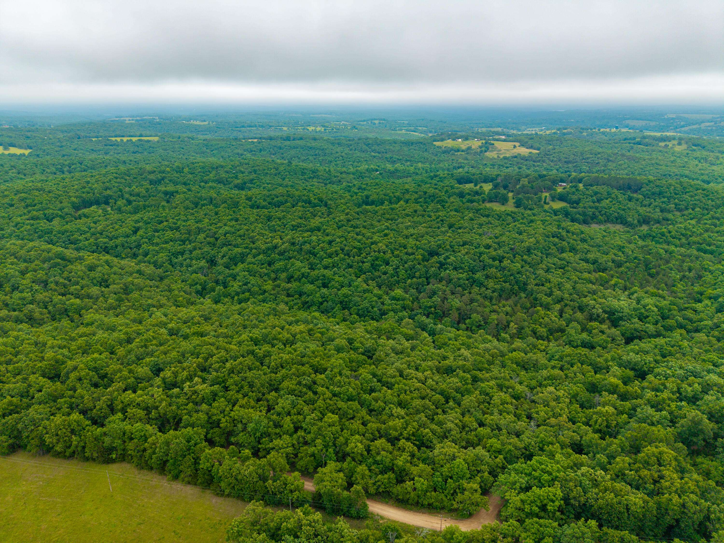 000 Co Rd 519 #Tract 1, Hardenville, MO 65666