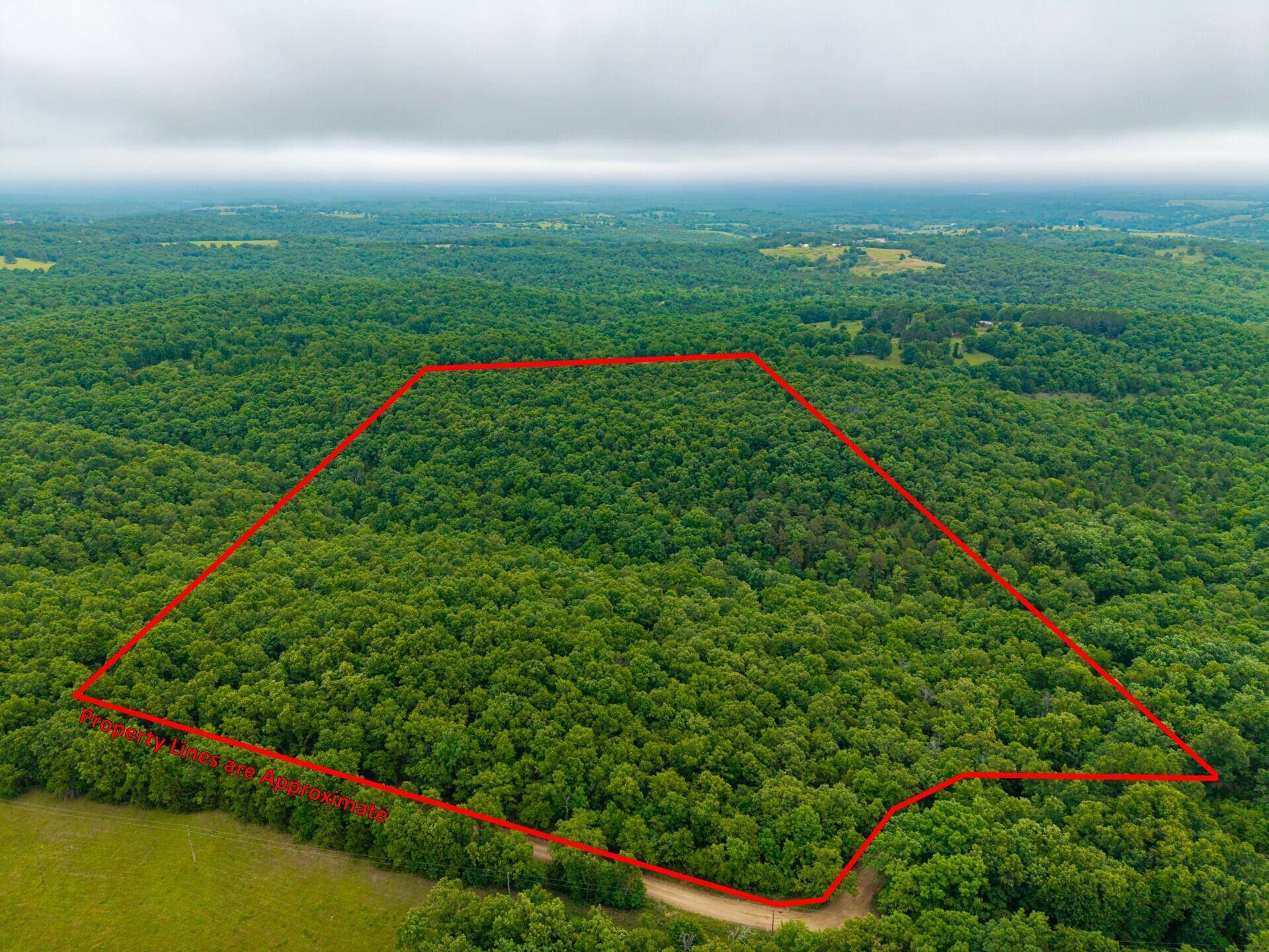 000 Co Rd 519 #Tract 1, Hardenville, MO 65666