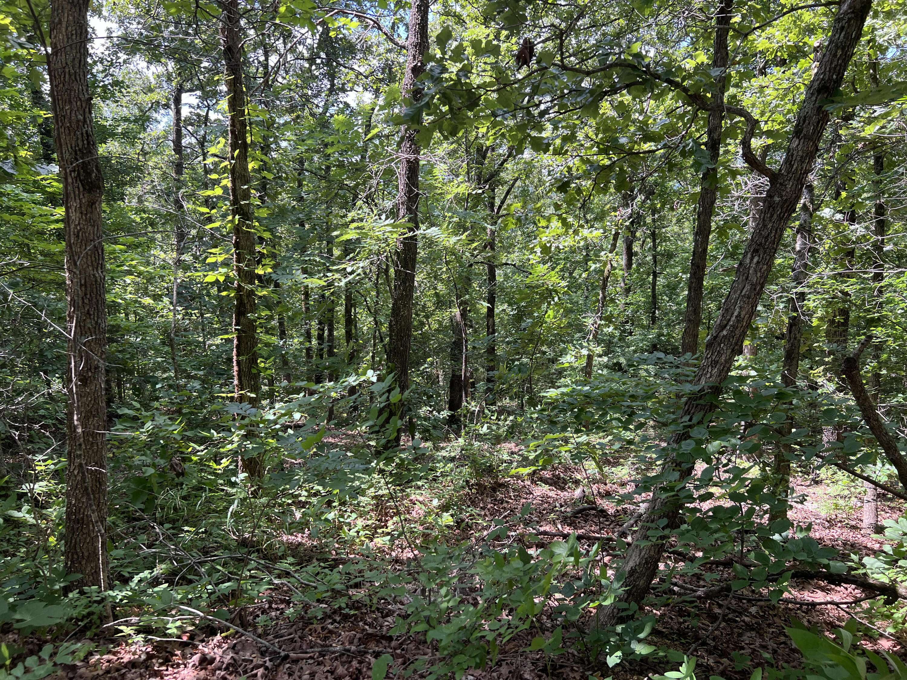 000 Pr Off Ridge Haven, Mammoth Spring, AR 72554