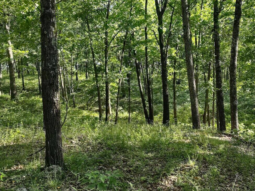 36501 Mohave DR, Eldridge, MO 65463