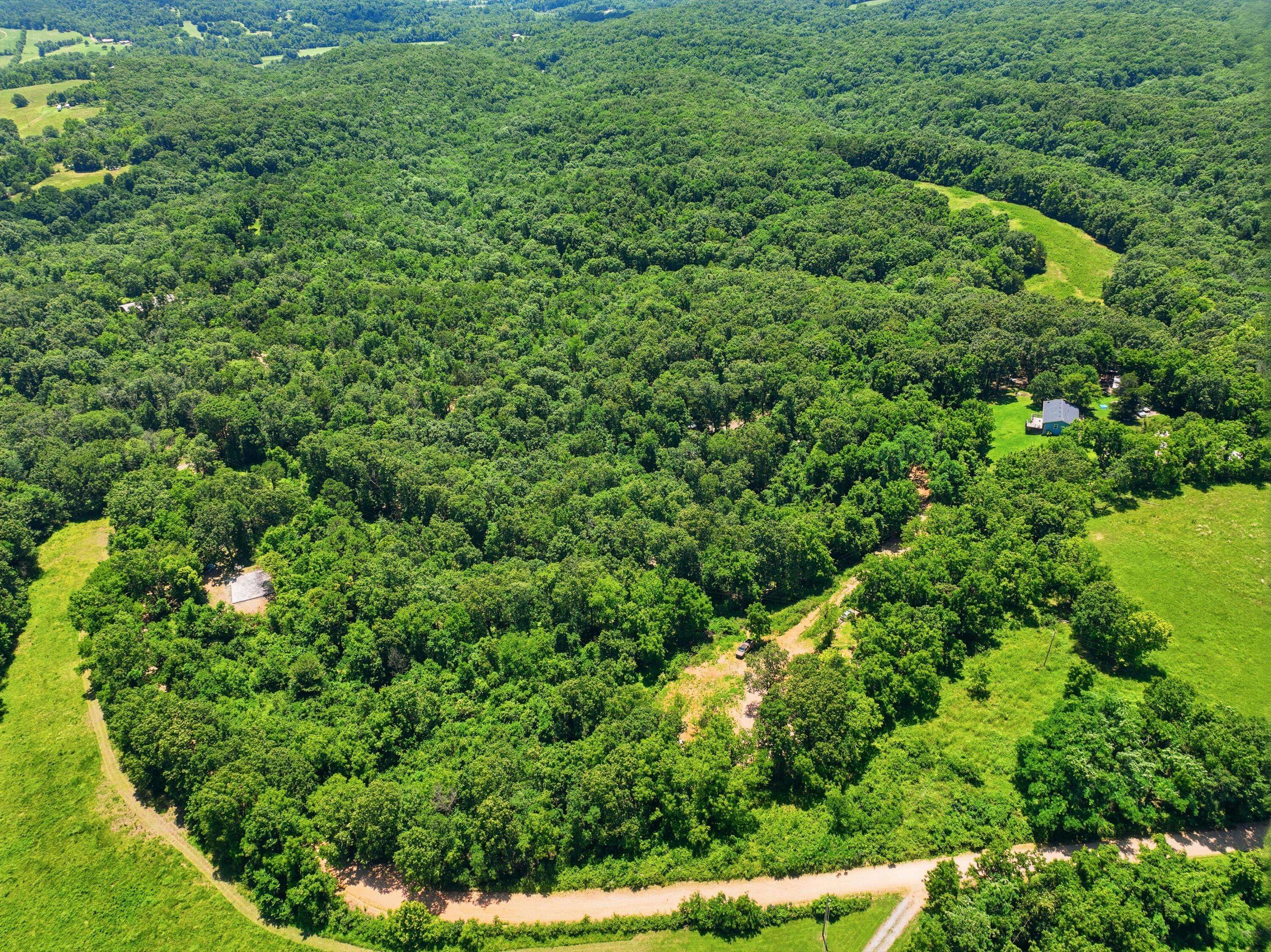 989 Schlessman RD, Anderson, MO 64831