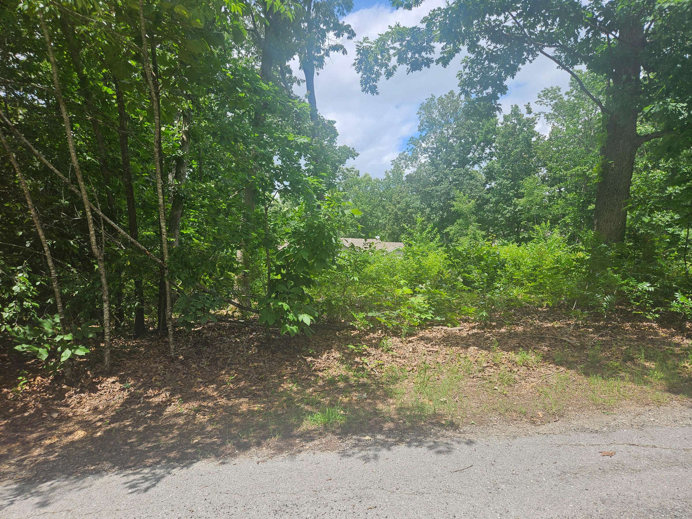 000 Woodruff ST, Mountain View, MO 65548