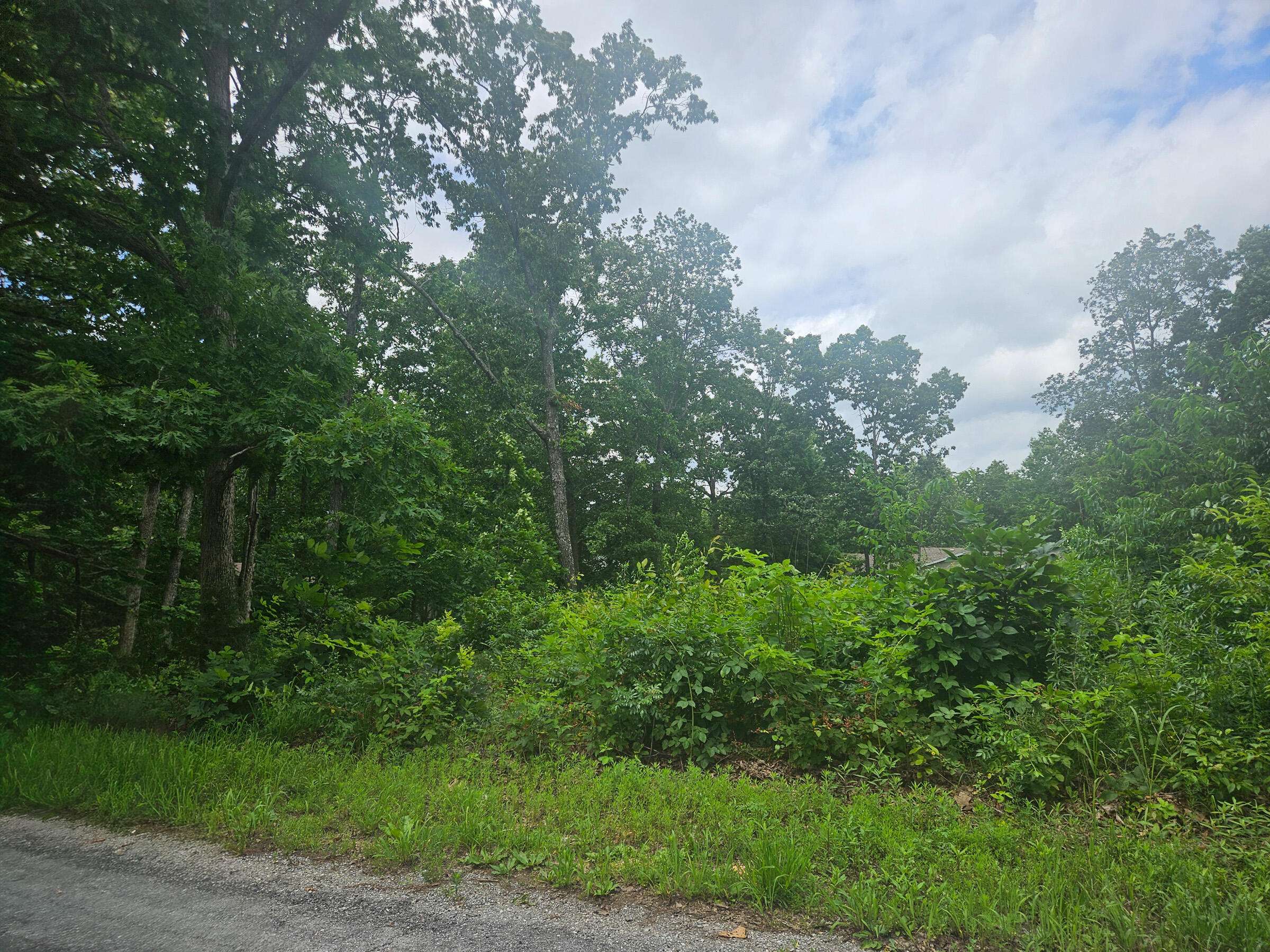 000 Woodruff ST, Mountain View, MO 65548