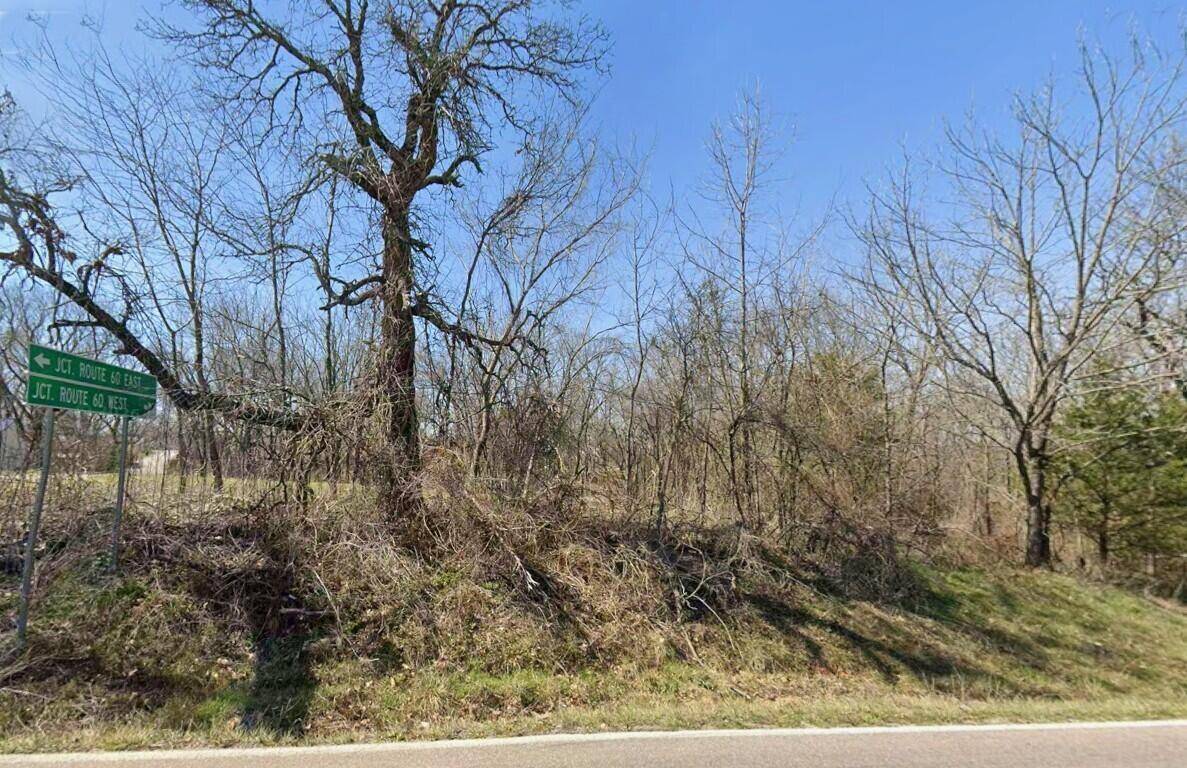 000 Lot 1 State Highway Ff, Fordland, MO 65652