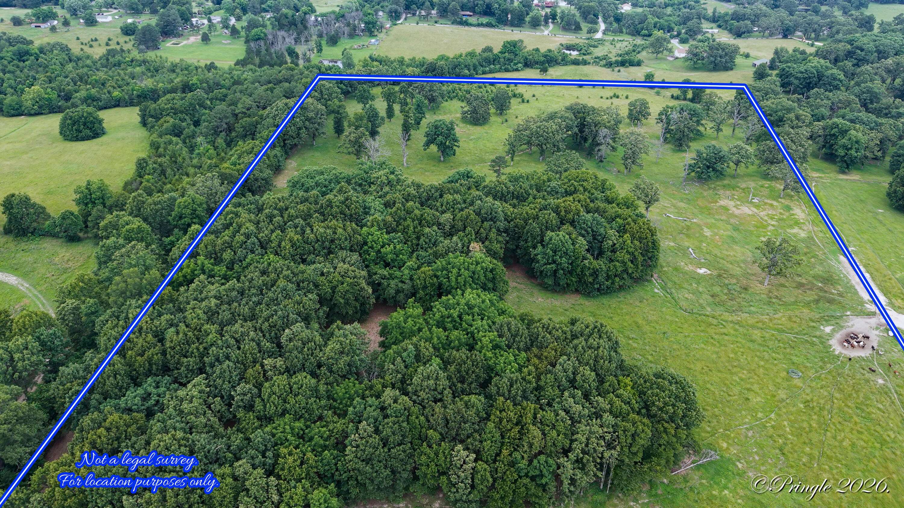 6504 County Road 8800, West Plains, MO 65775