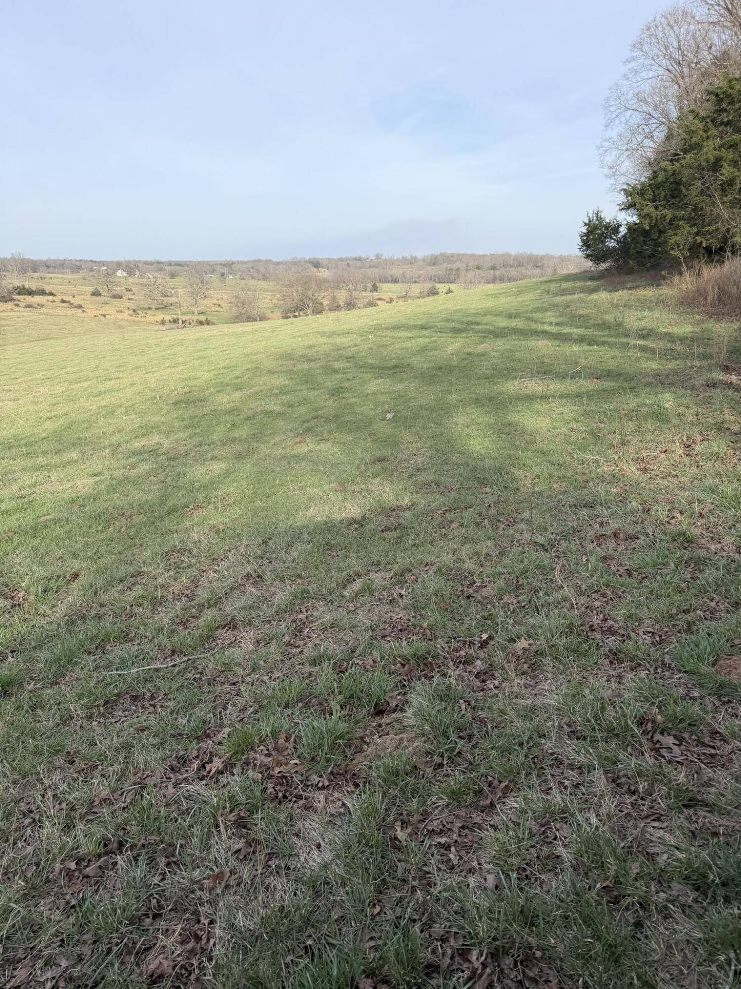 14658 County Road 7430, Caulfield, MO 65626