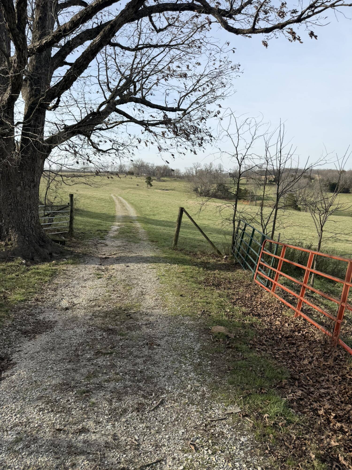 14658 County Road 7430, Caulfield, MO 65626