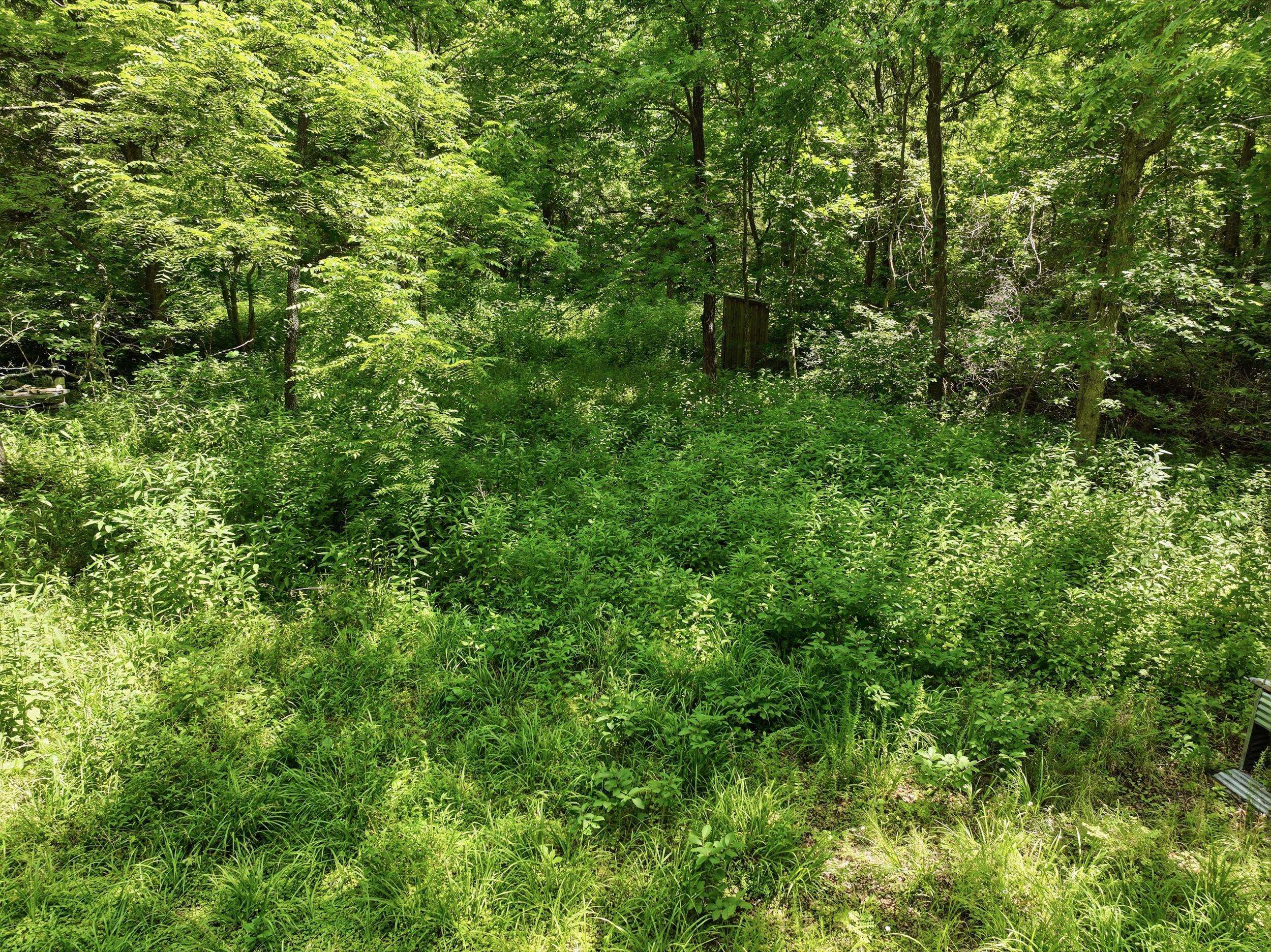 000 Barn Hollow Drive, Mountain View, MO 65548