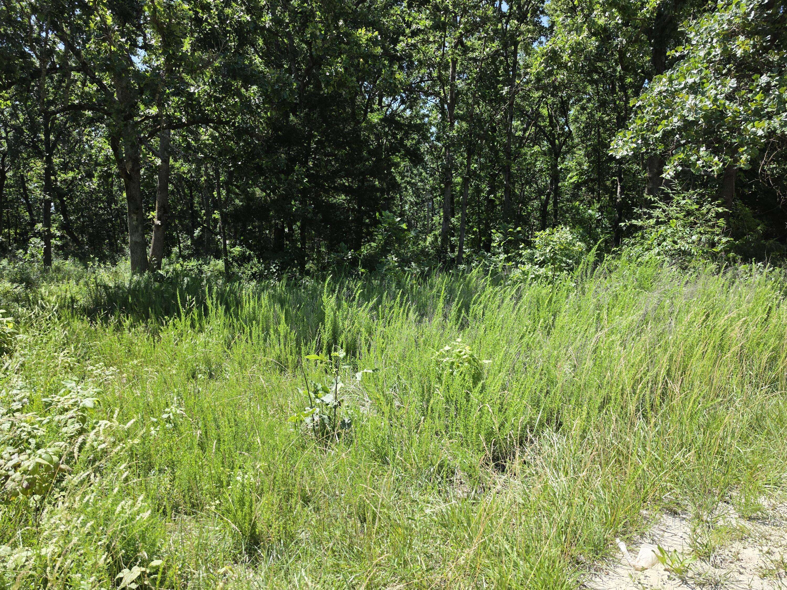 000 Hidden Pond DR #36, Fordland, MO 65652