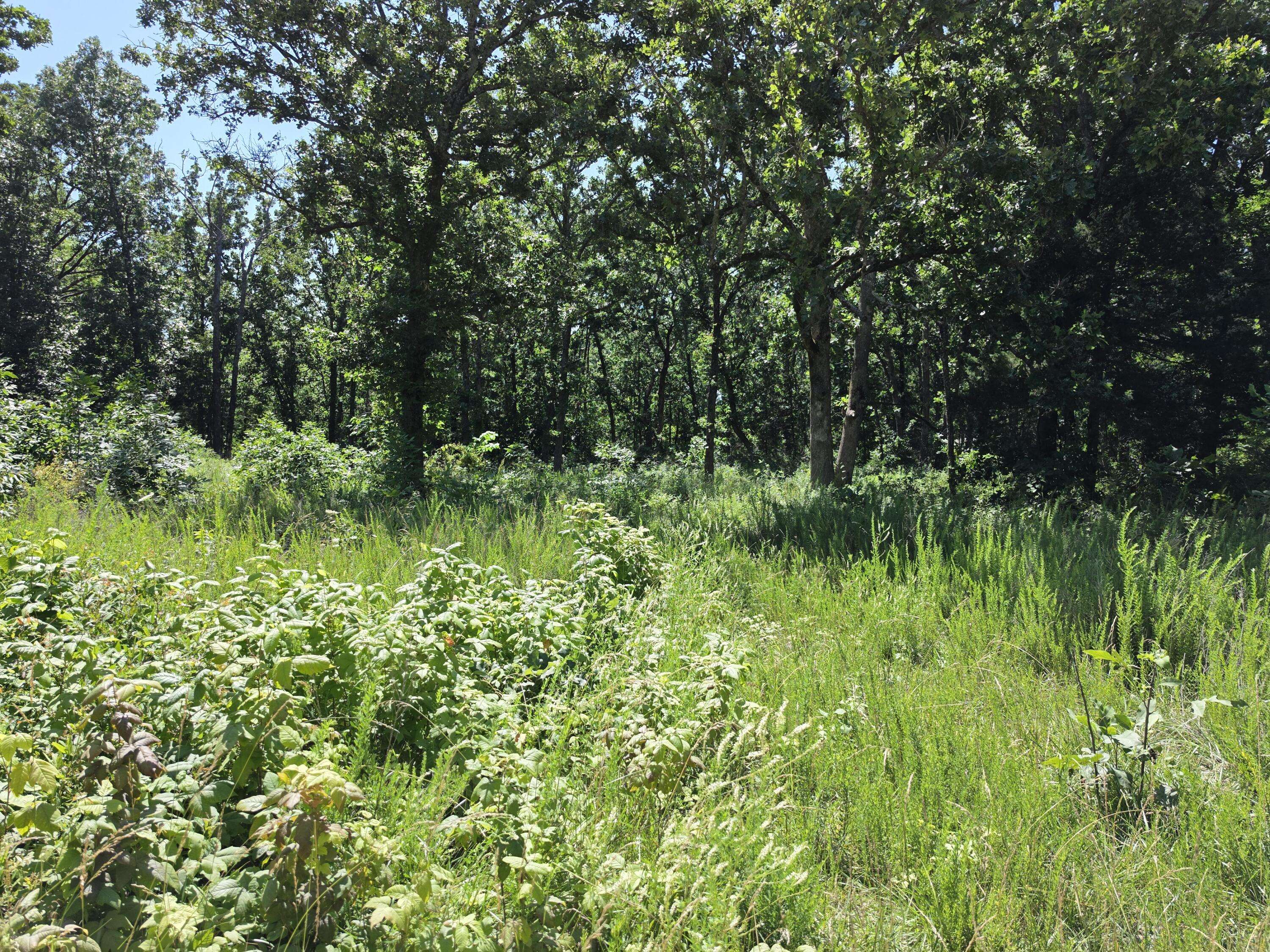 000 Hidden Pond DR #36, Fordland, MO 65652