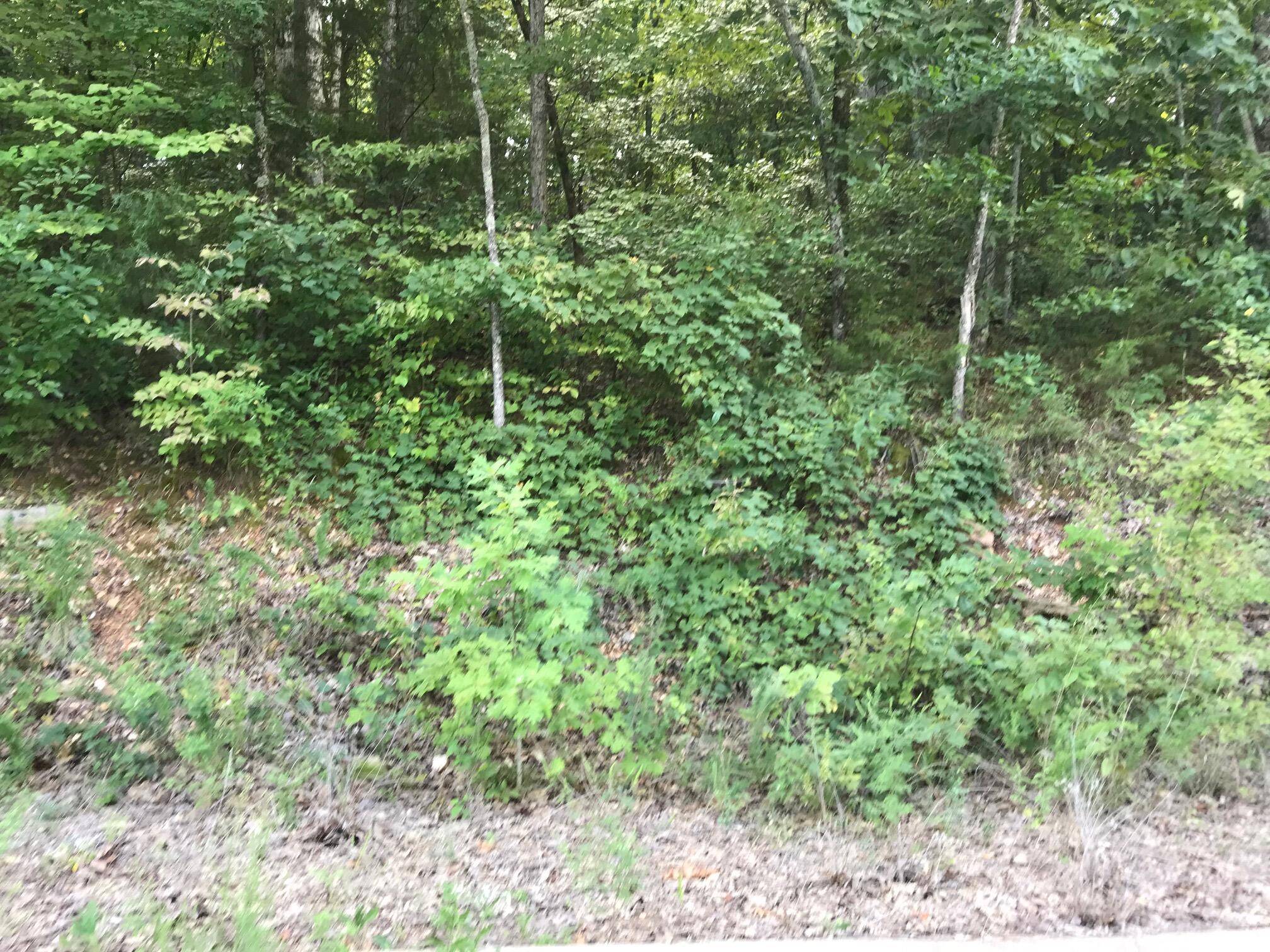 Lot 107 Crescent DR, Hollister, MO 65672