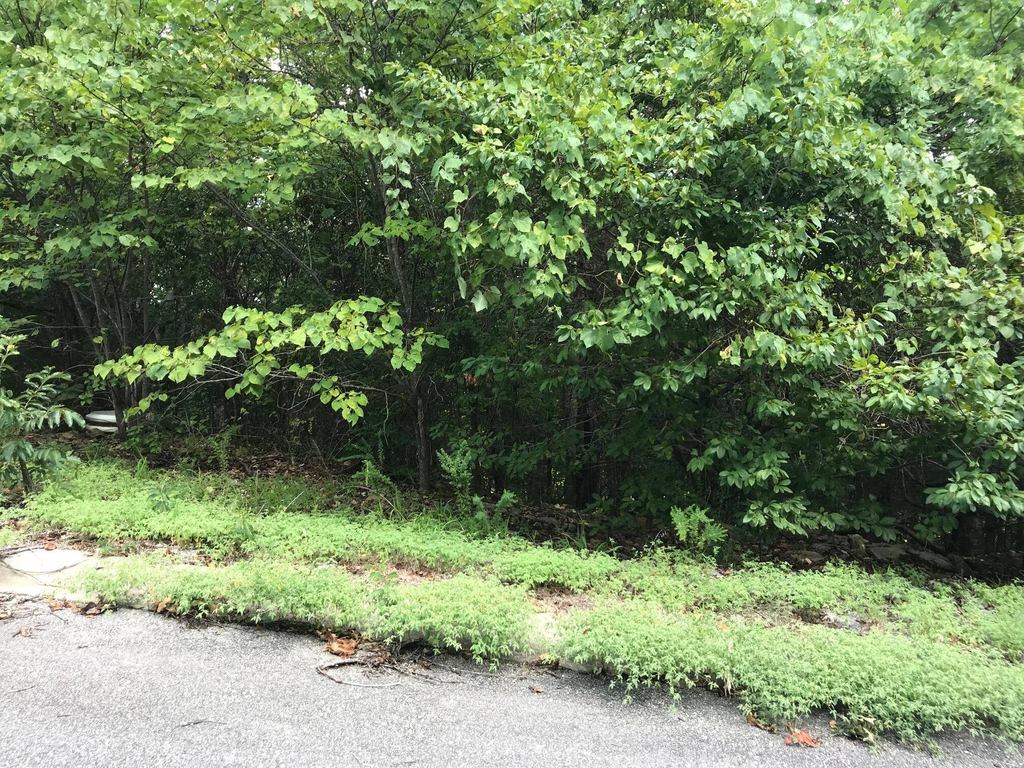 Lot 256 Skylee DR, Hollister, MO 65672