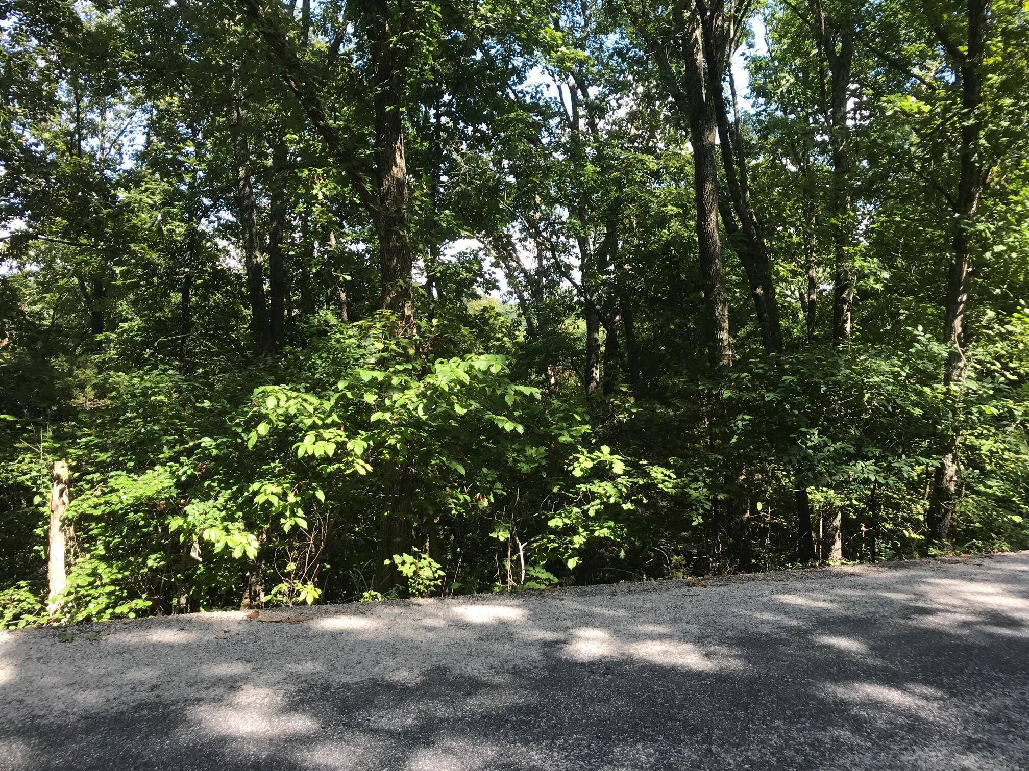 Lot 227 Syler CIR, Hollister, MO 65672