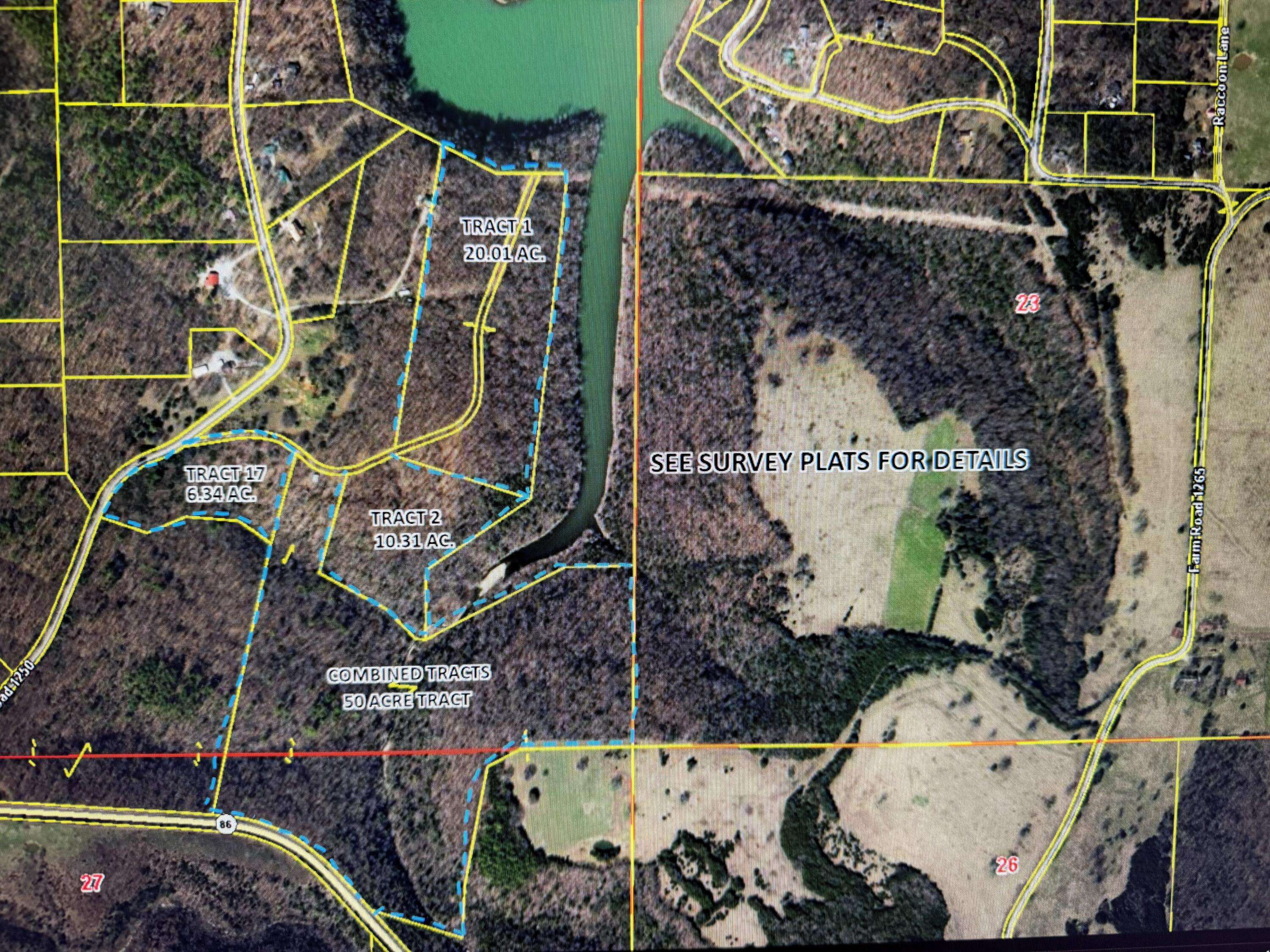 Tract 1 Farm Road 1250, Golden, MO 65658