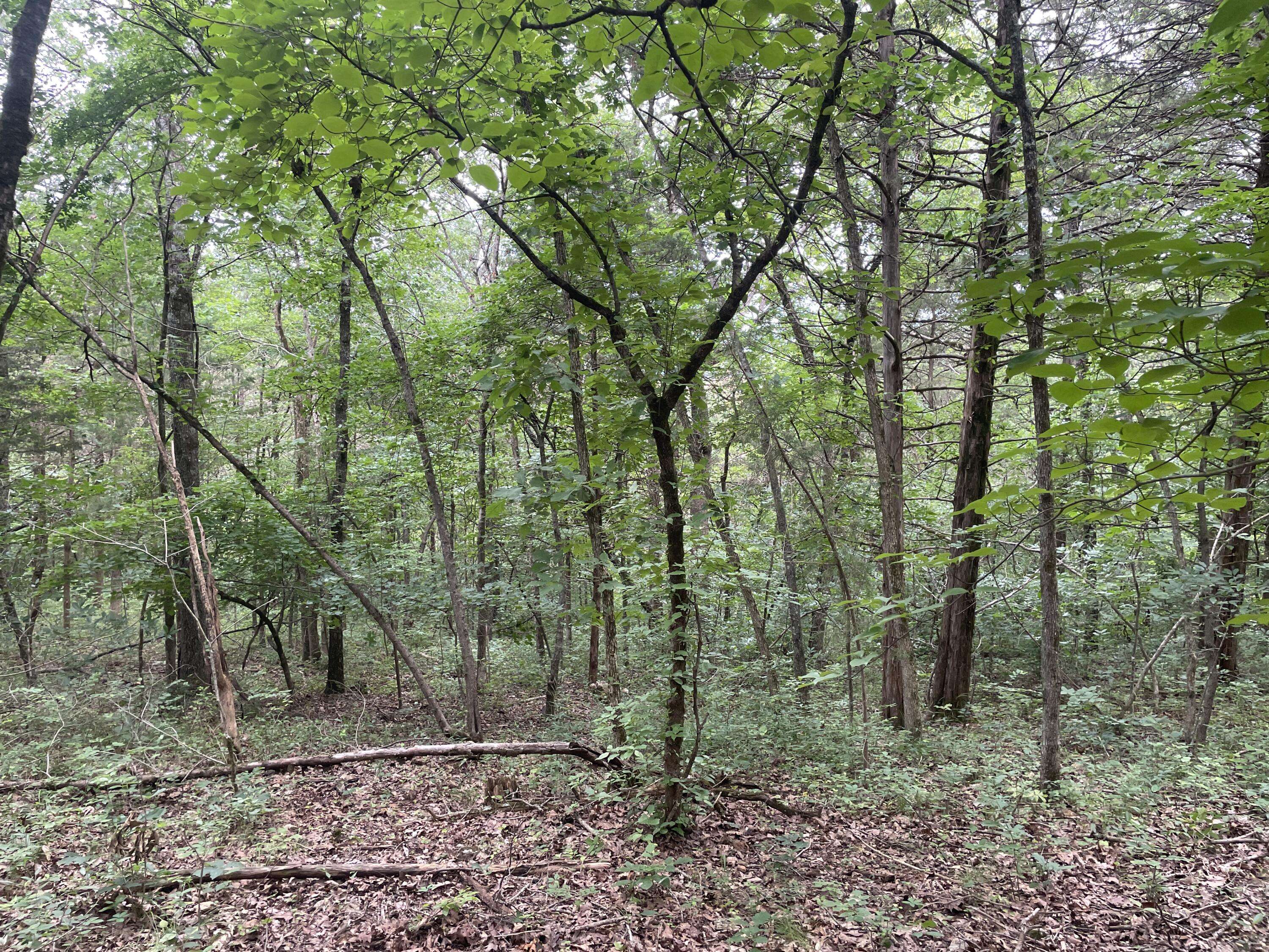2980 County Road 855, Thornfield, MO 65762