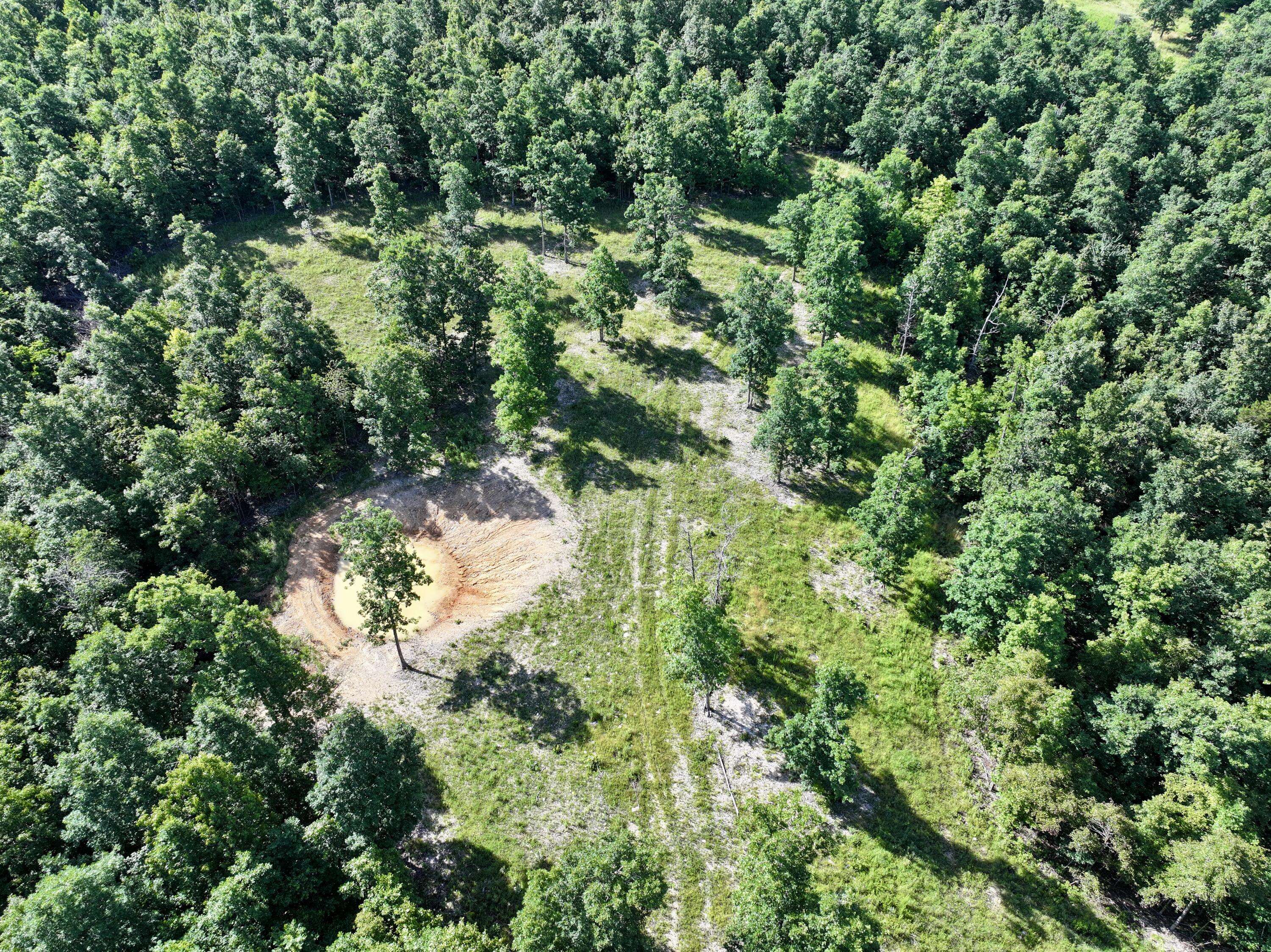 000 County Road Ff-459, Birch Tree, MO 65438