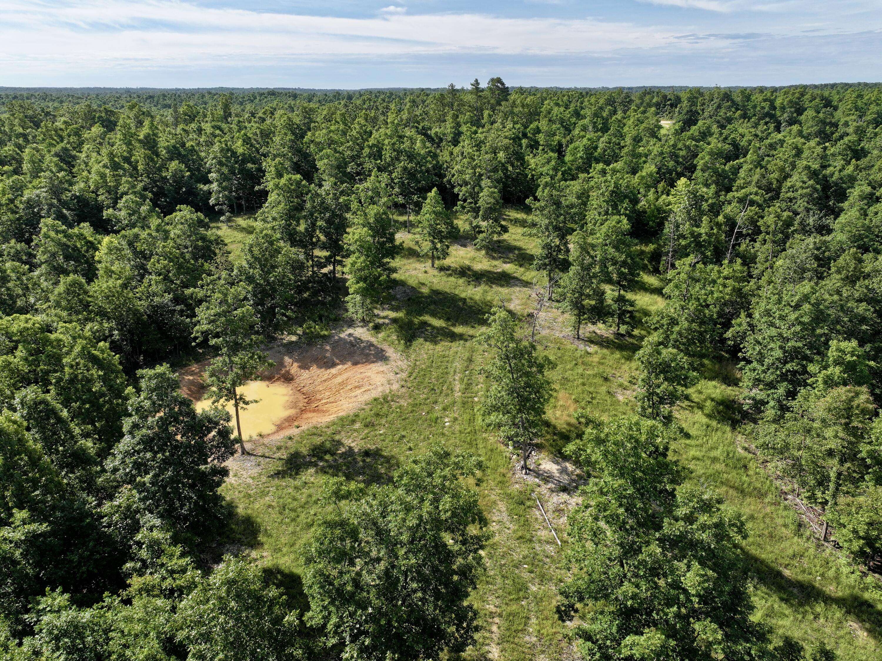 000 County Road Ff-459, Birch Tree, MO 65438