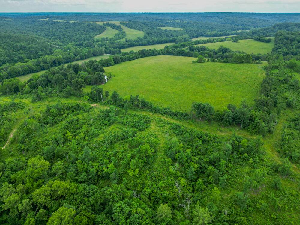 258 State Road Yy, Tunas, MO 65764