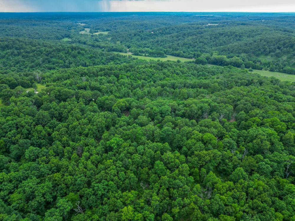 000 White Oak Road, Tunas, MO 65764