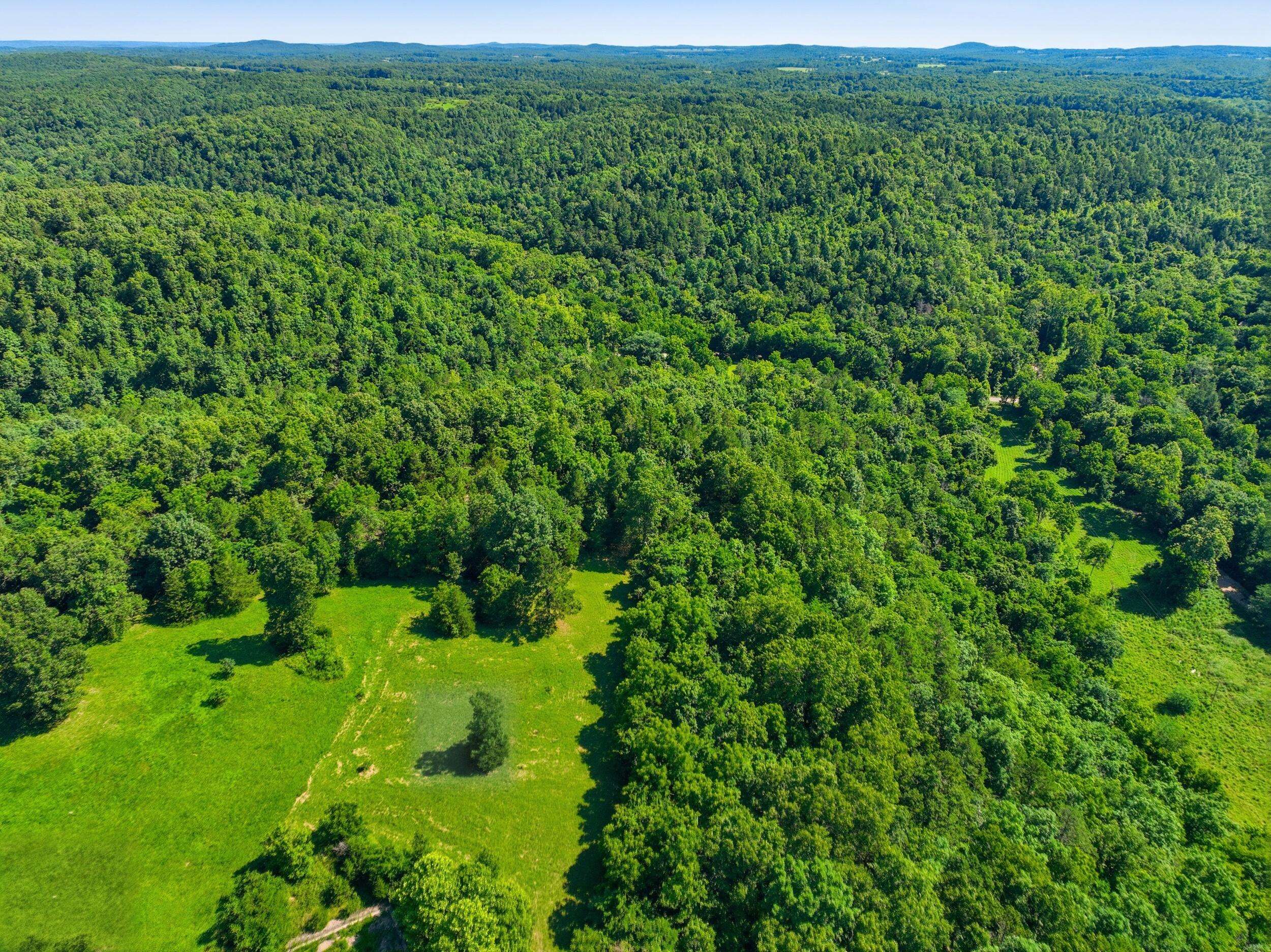 000 County  Road 178-A, Dora, MO 65637
