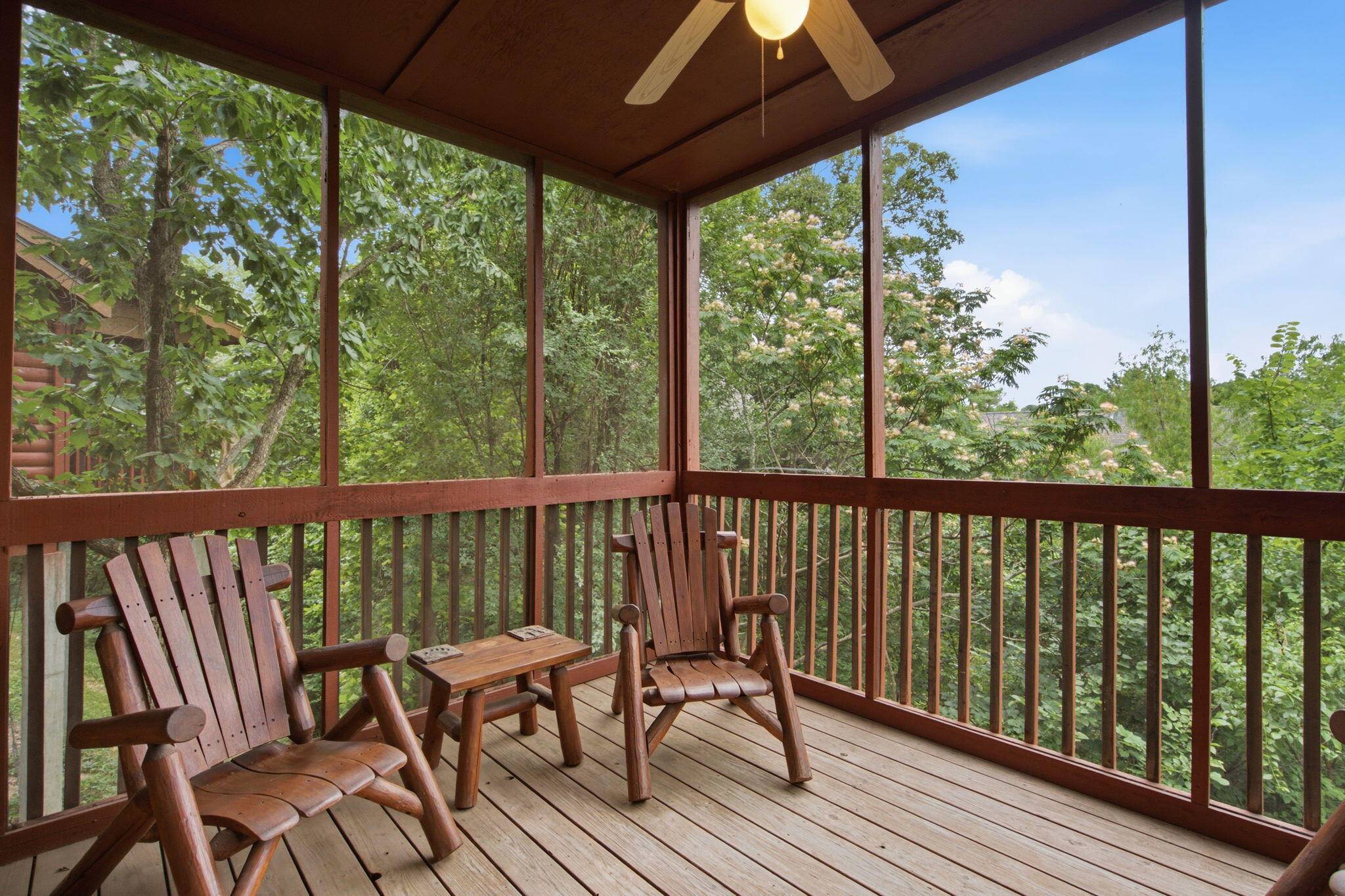 132 Rock Candy LN, Branson, MO 65616