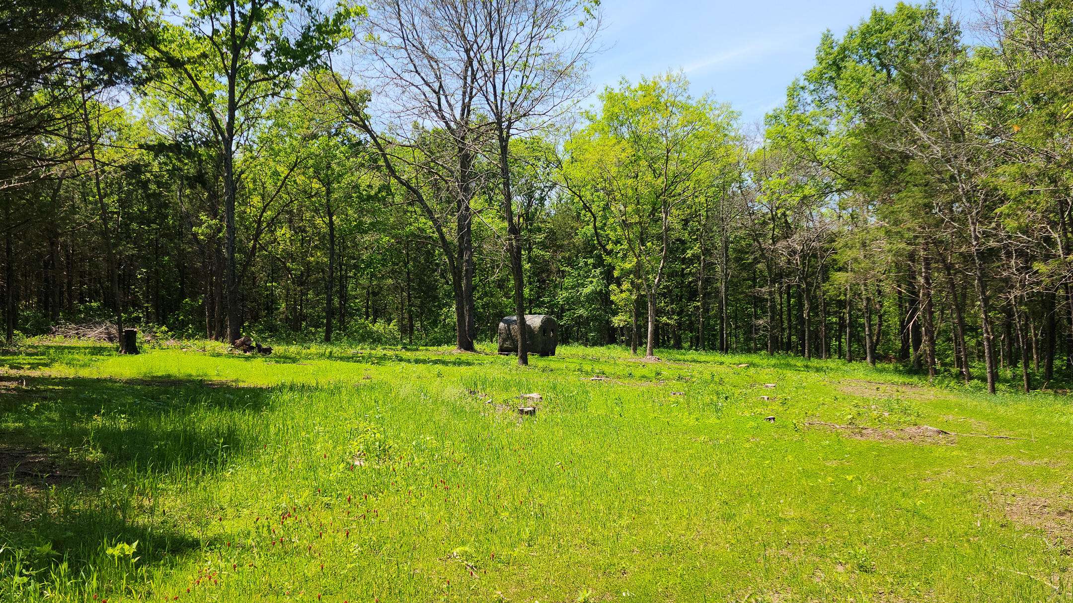 000 County Road 333, Polk, MO 65727