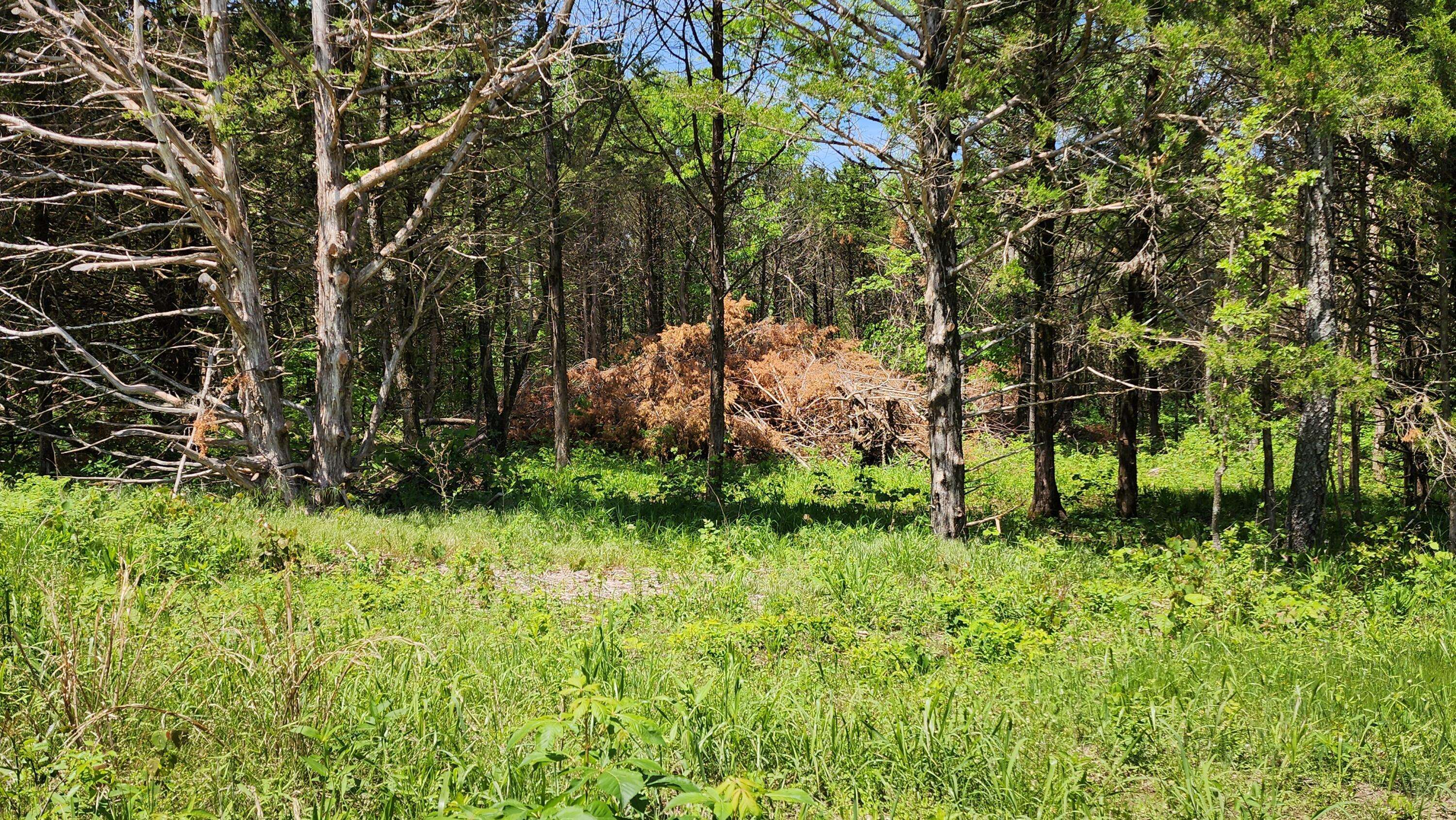 000 County Road 333, Polk, MO 65727